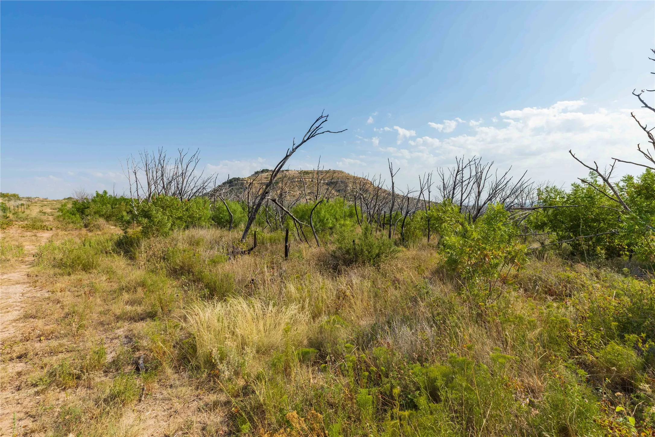 Unimproved Land For Sale in Taylor County , 1034 Braune Road, Abilene, Texas 79603, 0, 0, Garage spaces, 0 Sqft, built in 0, mls#21395399, Real Estate Agent in Abilene, Homes For Sale in Taylor county, Homes For Sale in Abilene, Realtor in Abilene Texas, Real Estate Brokerage Independent Realty Texas, Luminita Cordes Realtor