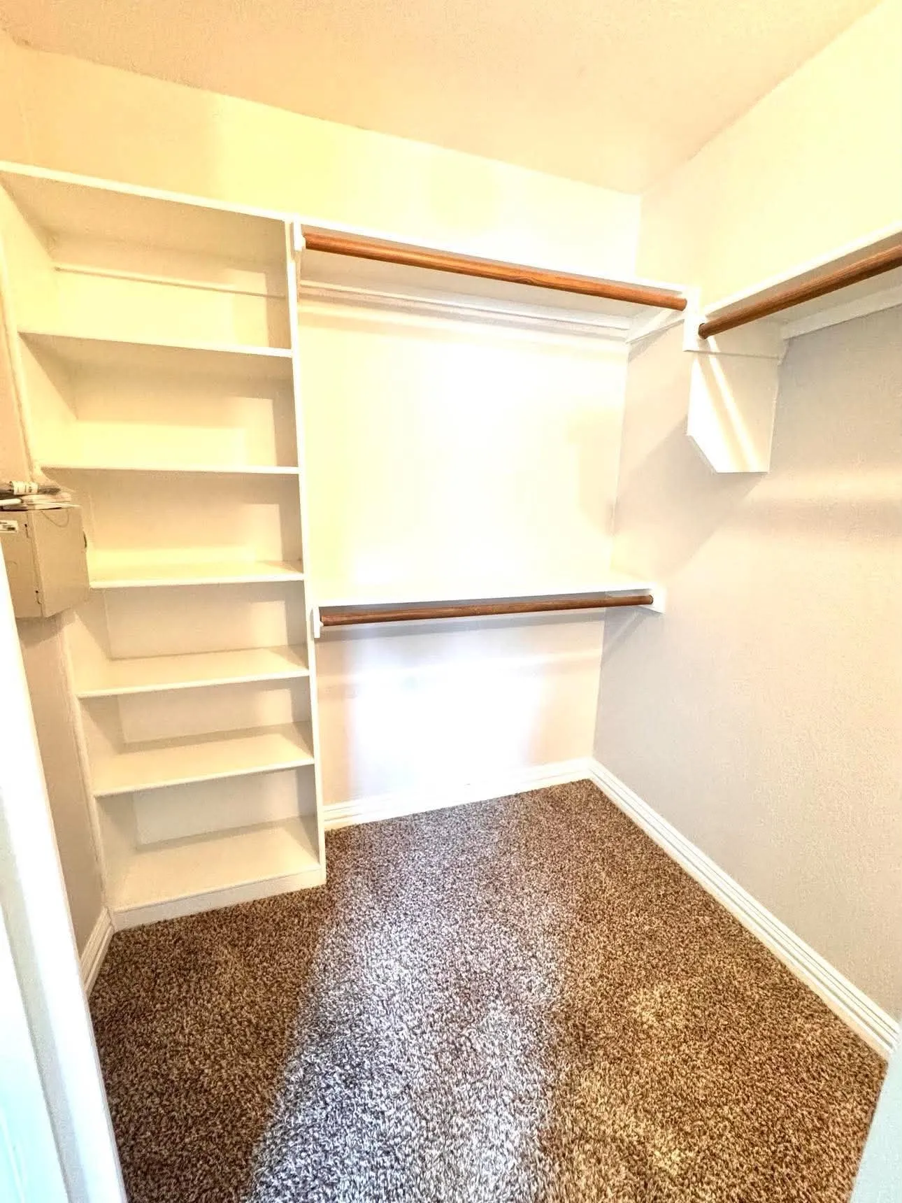 Walk-in closet featuring built-in shelving, dual hanging rods, and carpet flooring