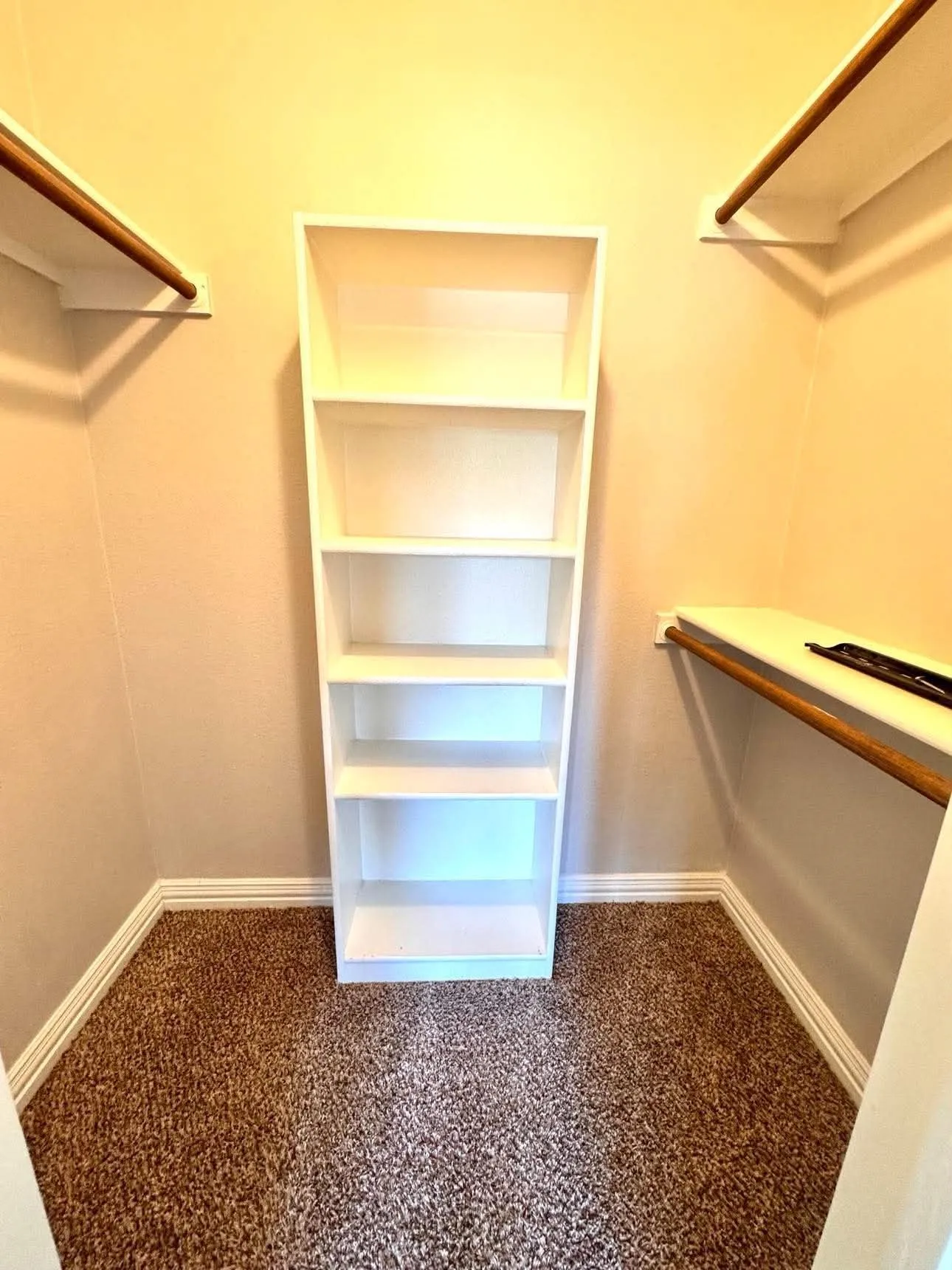 Built-in shelving unit, dual clothing rods, and wall-mounted shelving