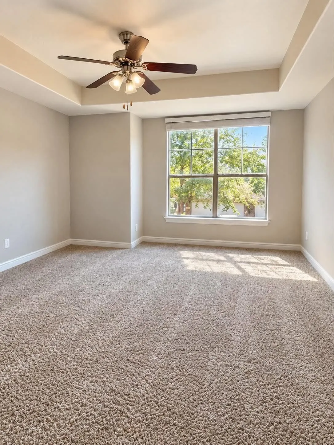 Tray ceiling with a built-in ceiling fan, expansive window, neutral-toned carpet flooring, and painted walls