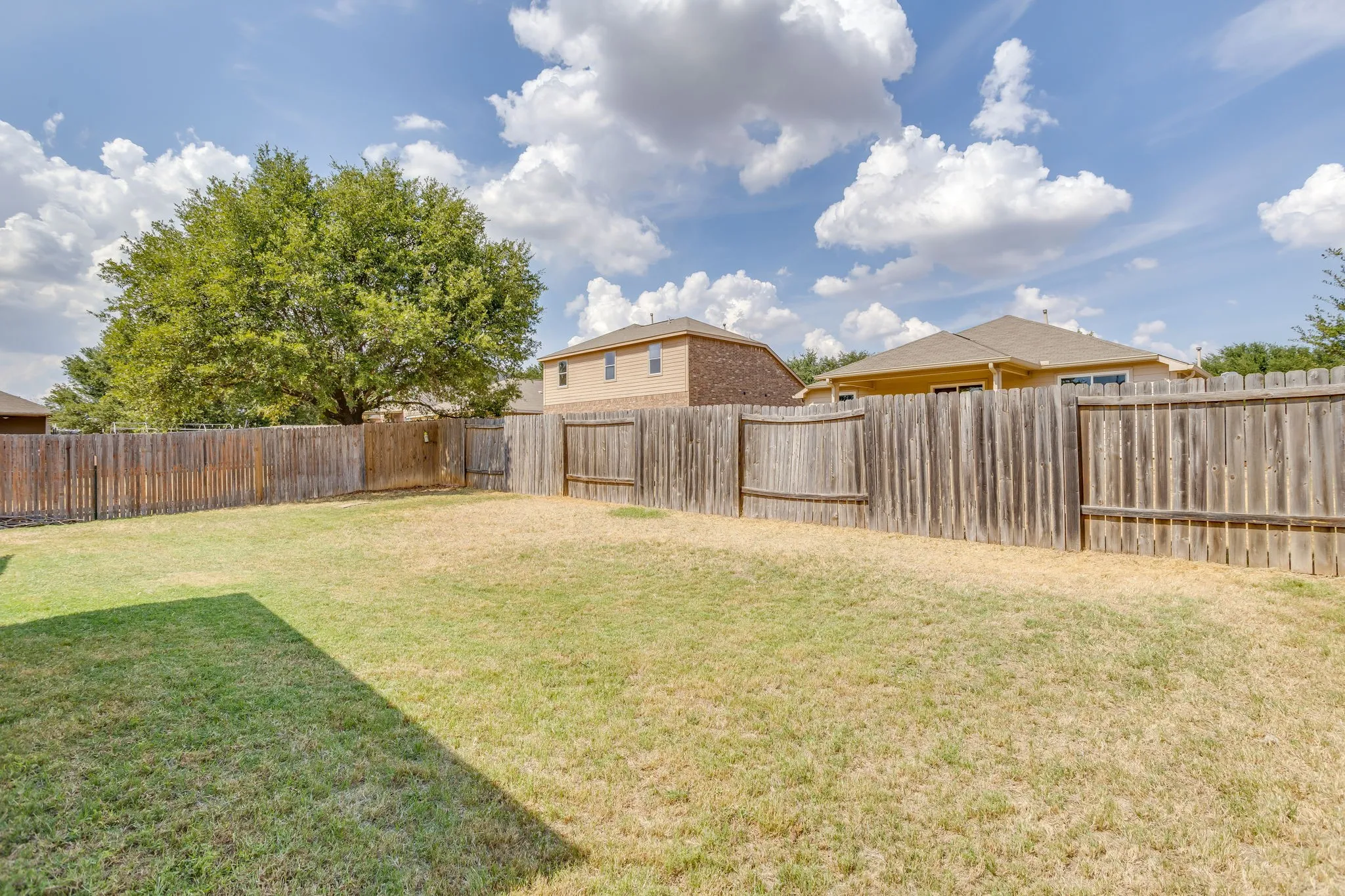 Expansive backyard with a full privacy fence and mature tree
