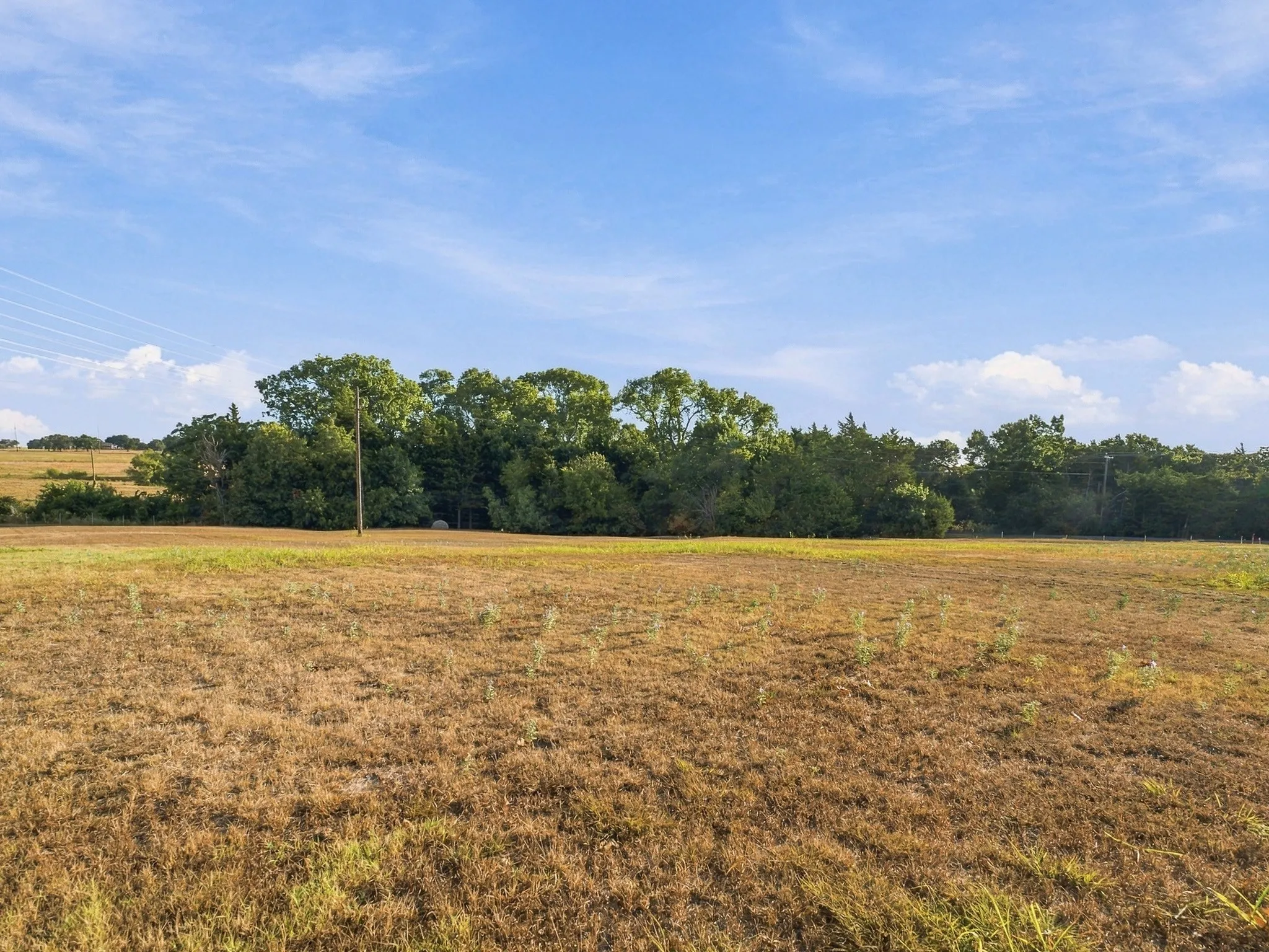 Improved Land For Sale in Wise County , 309 N Fm 730, Decatur, Texas 76234, 0, 0, Garage spaces, 0 Sqft, built in 1968, mls#21390268, Real Estate Agent in Decatur, Homes For Sale in Wise county, Homes For Sale in Decatur, Realtor in Decatur Texas, Real Estate Brokerage Independent Realty Texas, Luminita Cordes Realtor