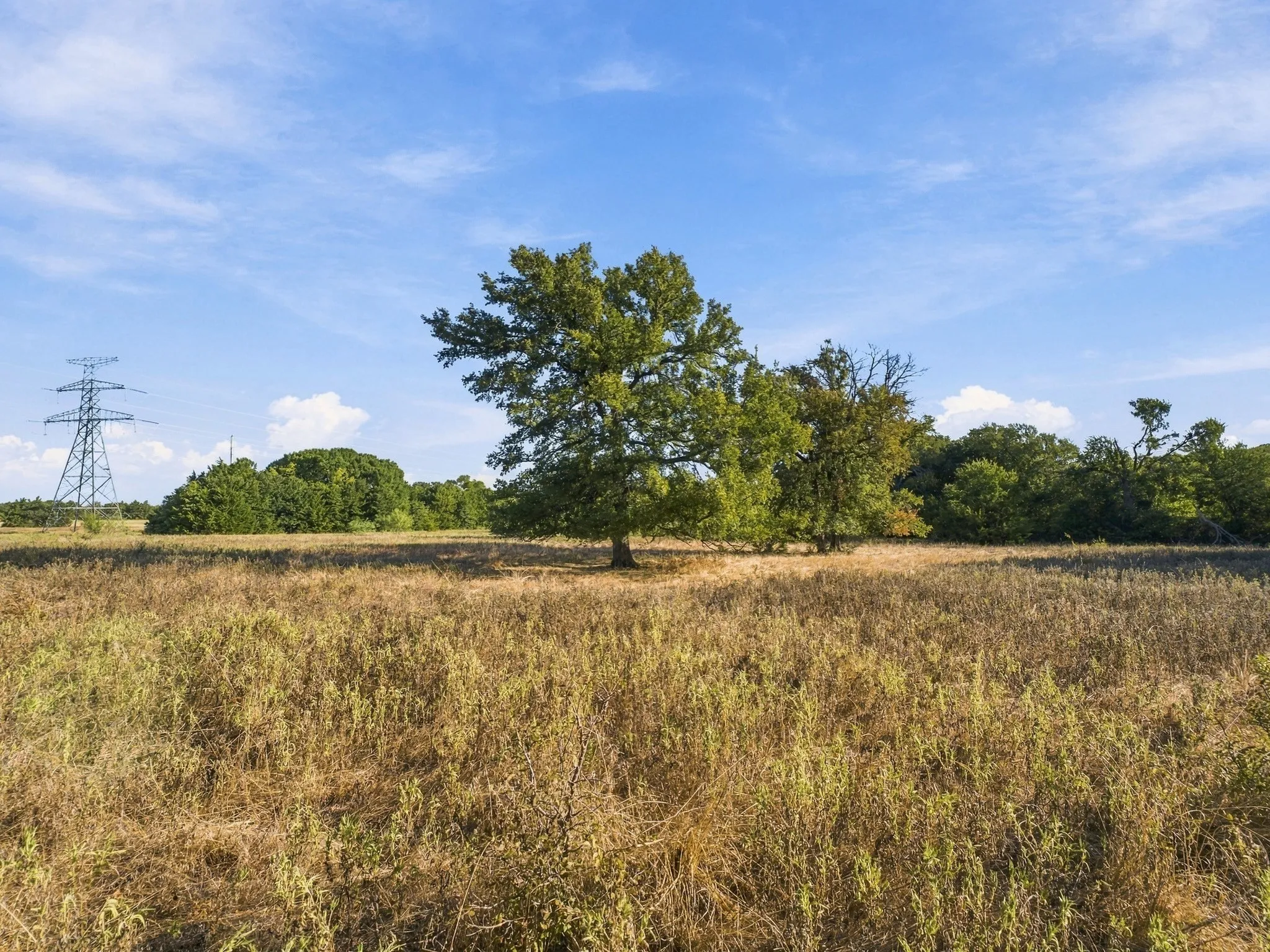 Improved Land For Sale in Wise County , 309 N Fm 730, Decatur, Texas 76234, 0, 0, Garage spaces, 0 Sqft, built in 1968, mls#21390268, Real Estate Agent in Decatur, Homes For Sale in Wise county, Homes For Sale in Decatur, Realtor in Decatur Texas, Real Estate Brokerage Independent Realty Texas, Luminita Cordes Realtor