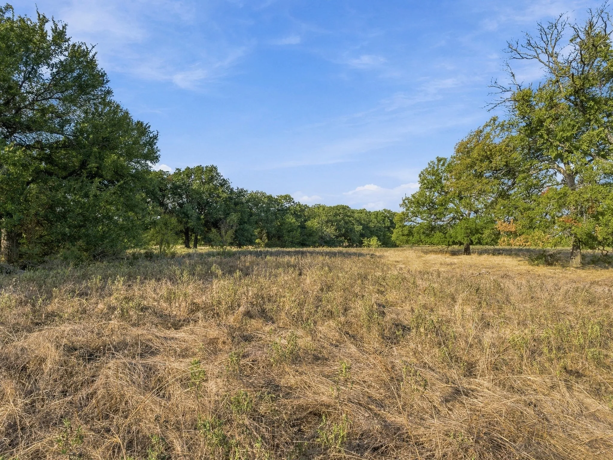 Improved Land For Sale in Wise County , 309 N Fm 730, Decatur, Texas 76234, 0, 0, Garage spaces, 0 Sqft, built in 1968, mls#21390268, Real Estate Agent in Decatur, Homes For Sale in Wise county, Homes For Sale in Decatur, Realtor in Decatur Texas, Real Estate Brokerage Independent Realty Texas, Luminita Cordes Realtor