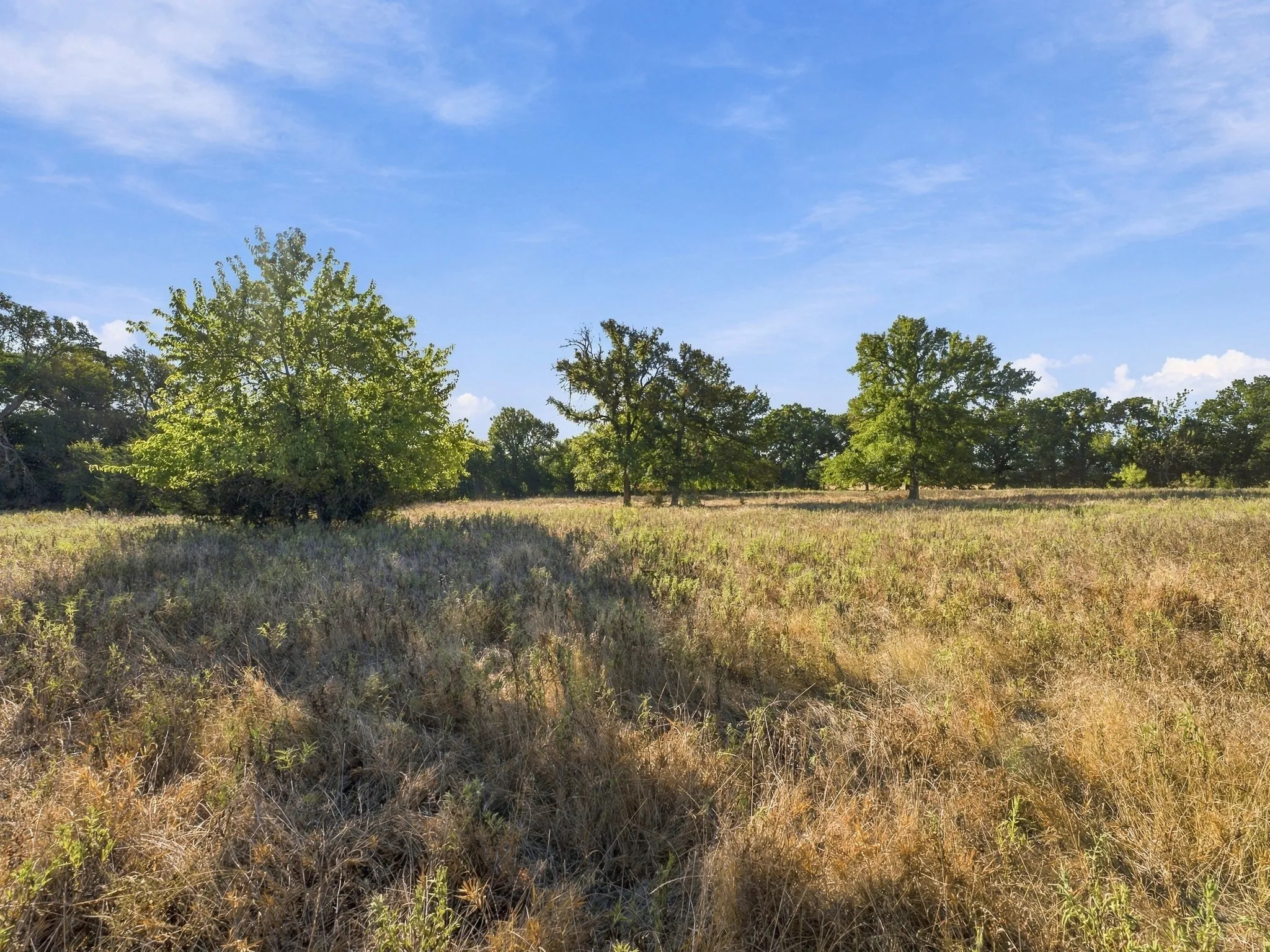 Improved Land For Sale in Wise County , 309 N Fm 730, Decatur, Texas 76234, 0, 0, Garage spaces, 0 Sqft, built in 1968, mls#21390268, Real Estate Agent in Decatur, Homes For Sale in Wise county, Homes For Sale in Decatur, Realtor in Decatur Texas, Real Estate Brokerage Independent Realty Texas, Luminita Cordes Realtor