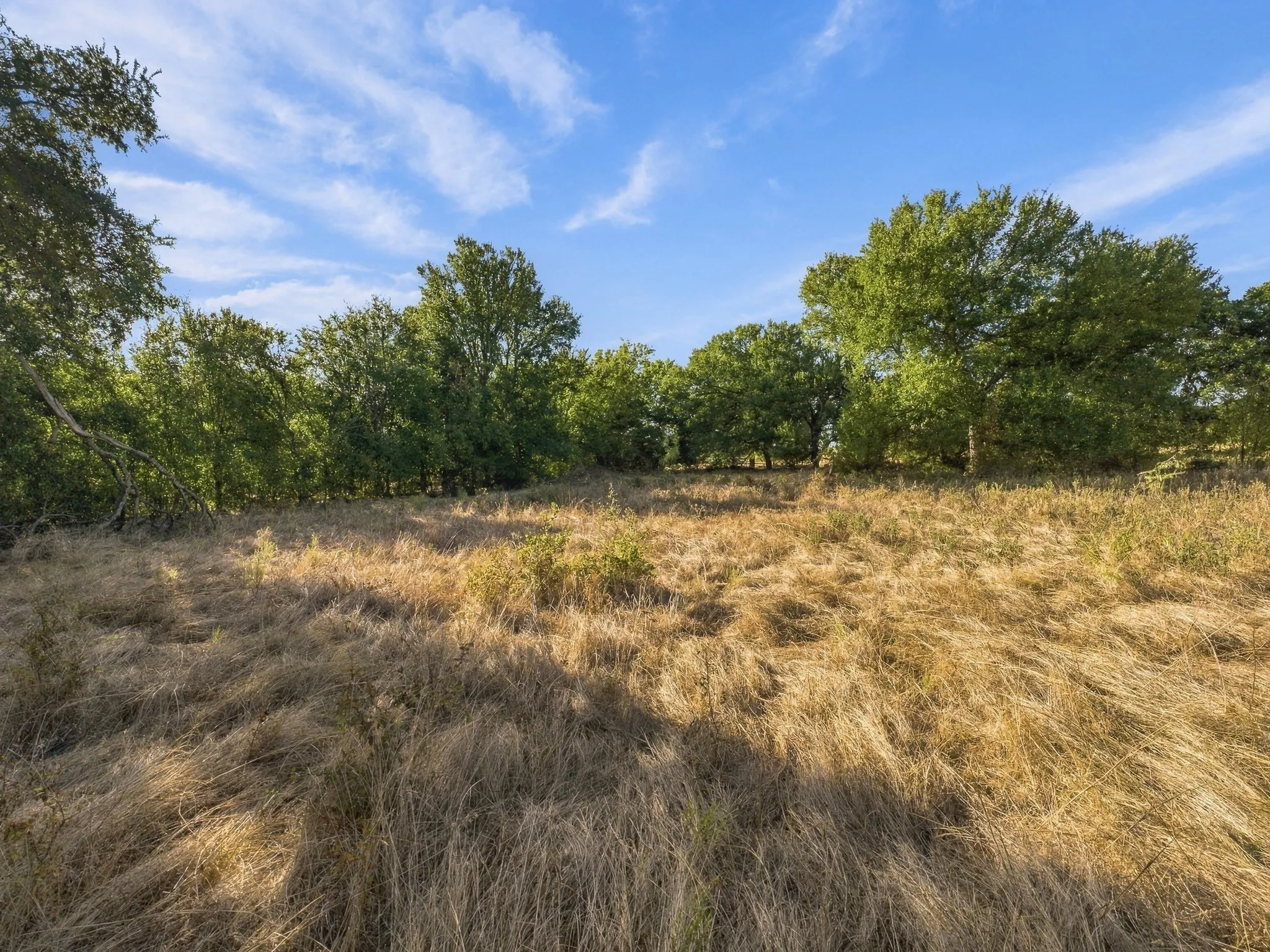 Improved Land For Sale in Wise County , 309 N Fm 730, Decatur, Texas 76234, 0, 0, Garage spaces, 0 Sqft, built in 1968, mls#21390268, Real Estate Agent in Decatur, Homes For Sale in Wise county, Homes For Sale in Decatur, Realtor in Decatur Texas, Real Estate Brokerage Independent Realty Texas, Luminita Cordes Realtor