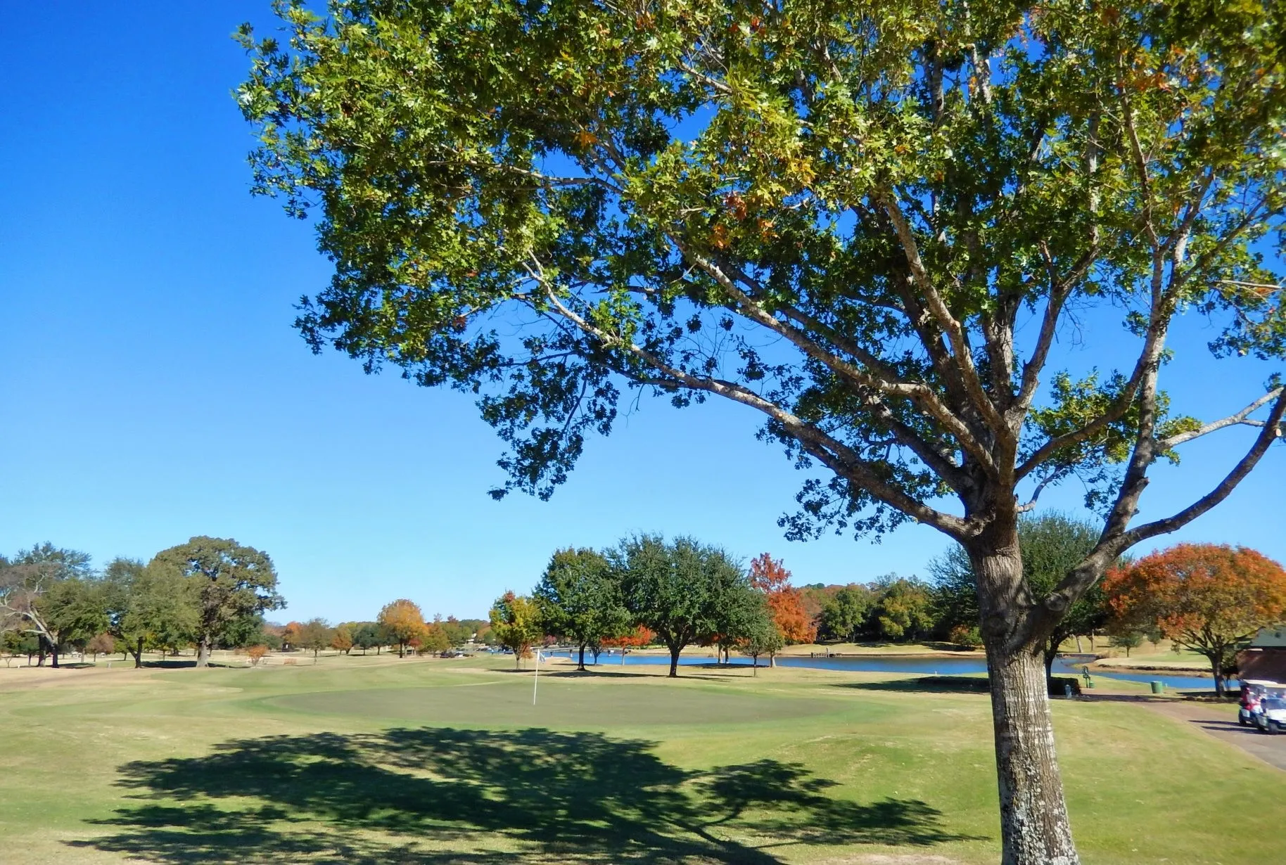 Unimproved Land For Sale in Smith County , 109 Key Allegro Drive, Bullard, Texas 75757, 0, 0, Garage spaces, 0 Sqft, built in 0, mls#21395443, Real Estate Agent in Bullard, Homes For Sale in Smith county, Homes For Sale in Bullard, Realtor in Bullard Texas, Real Estate Brokerage Independent Realty Texas, Luminita Cordes Realtor