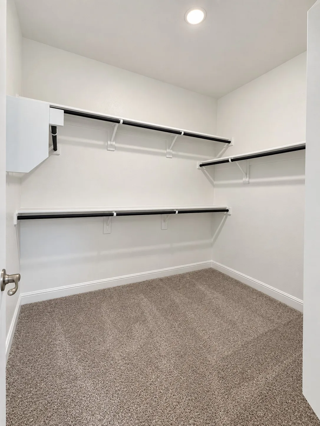Walk-in closet with recessed lighting, wall-mounted shelving, and carpet flooring