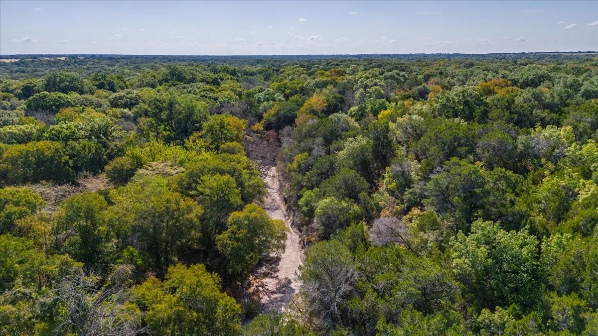 Unimproved Land For Sale in Bosque County , TBD FM 217, Valley Mills, Texas 76689, 0, 0, Garage spaces, 0 Sqft, built in 0, mls#21395473, Real Estate Agent in Valley Mills, Homes For Sale in Bosque county, Homes For Sale in Valley Mills, Realtor in Valley Mills Texas, Real Estate Brokerage Independent Realty Texas, Luminita Cordes Realtor