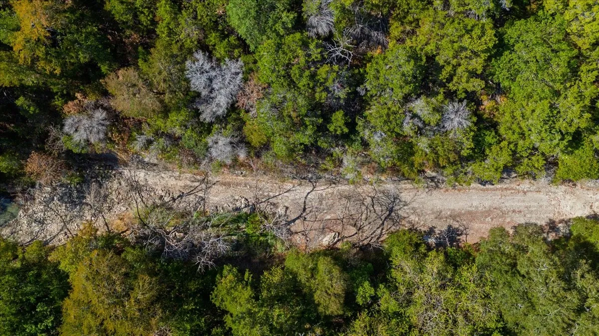 Unimproved Land For Sale in Bosque County , TBD FM 217, Valley Mills, Texas 76689, 0, 0, Garage spaces, 0 Sqft, built in 0, mls#21395473, Real Estate Agent in Valley Mills, Homes For Sale in Bosque county, Homes For Sale in Valley Mills, Realtor in Valley Mills Texas, Real Estate Brokerage Independent Realty Texas, Luminita Cordes Realtor