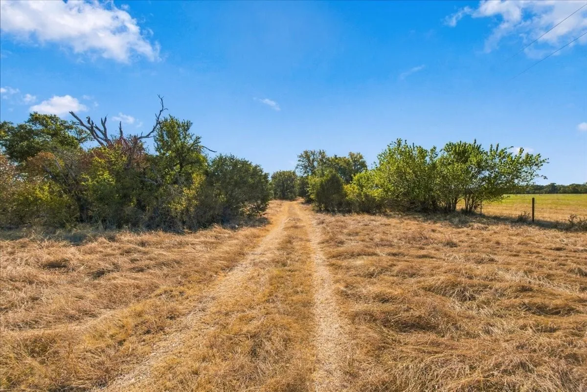 Unimproved Land For Sale in Bosque County , TBD FM 217, Valley Mills, Texas 76689, 0, 0, Garage spaces, 0 Sqft, built in 0, mls#21395473, Real Estate Agent in Valley Mills, Homes For Sale in Bosque county, Homes For Sale in Valley Mills, Realtor in Valley Mills Texas, Real Estate Brokerage Independent Realty Texas, Luminita Cordes Realtor