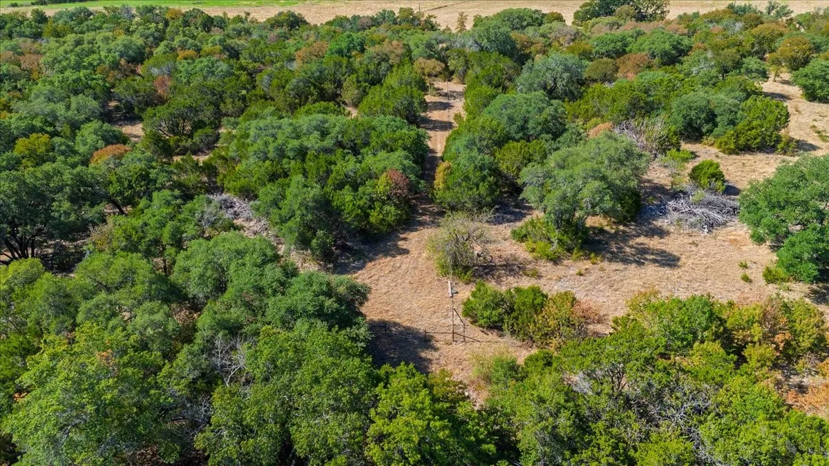 Unimproved Land For Sale in Bosque County , TBD FM 217, Valley Mills, Texas 76689, 0, 0, Garage spaces, 0 Sqft, built in 0, mls#21395473, Real Estate Agent in Valley Mills, Homes For Sale in Bosque county, Homes For Sale in Valley Mills, Realtor in Valley Mills Texas, Real Estate Brokerage Independent Realty Texas, Luminita Cordes Realtor