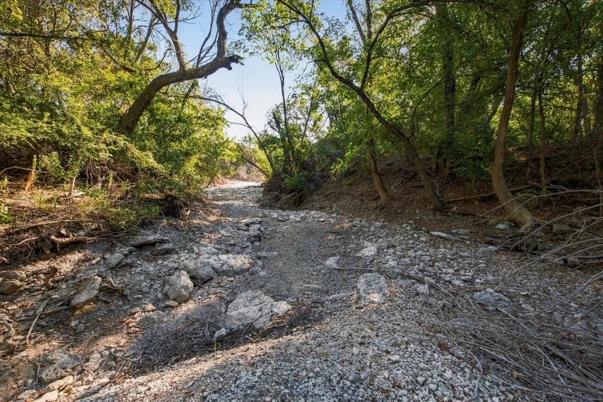 Unimproved Land For Sale in Bosque County , TBD FM 217, Valley Mills, Texas 76689, 0, 0, Garage spaces, 0 Sqft, built in 0, mls#21395473, Real Estate Agent in Valley Mills, Homes For Sale in Bosque county, Homes For Sale in Valley Mills, Realtor in Valley Mills Texas, Real Estate Brokerage Independent Realty Texas, Luminita Cordes Realtor