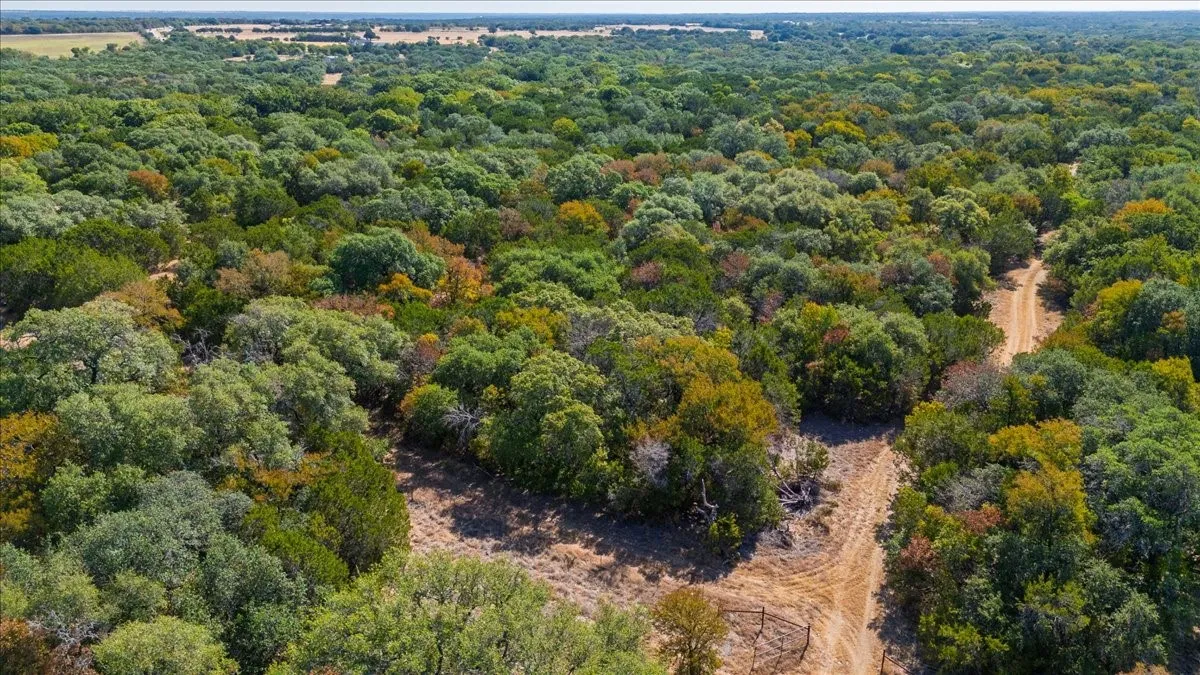 Unimproved Land For Sale in Bosque County , TBD FM 217, Valley Mills, Texas 76689, 0, 0, Garage spaces, 0 Sqft, built in 0, mls#21395473, Real Estate Agent in Valley Mills, Homes For Sale in Bosque county, Homes For Sale in Valley Mills, Realtor in Valley Mills Texas, Real Estate Brokerage Independent Realty Texas, Luminita Cordes Realtor