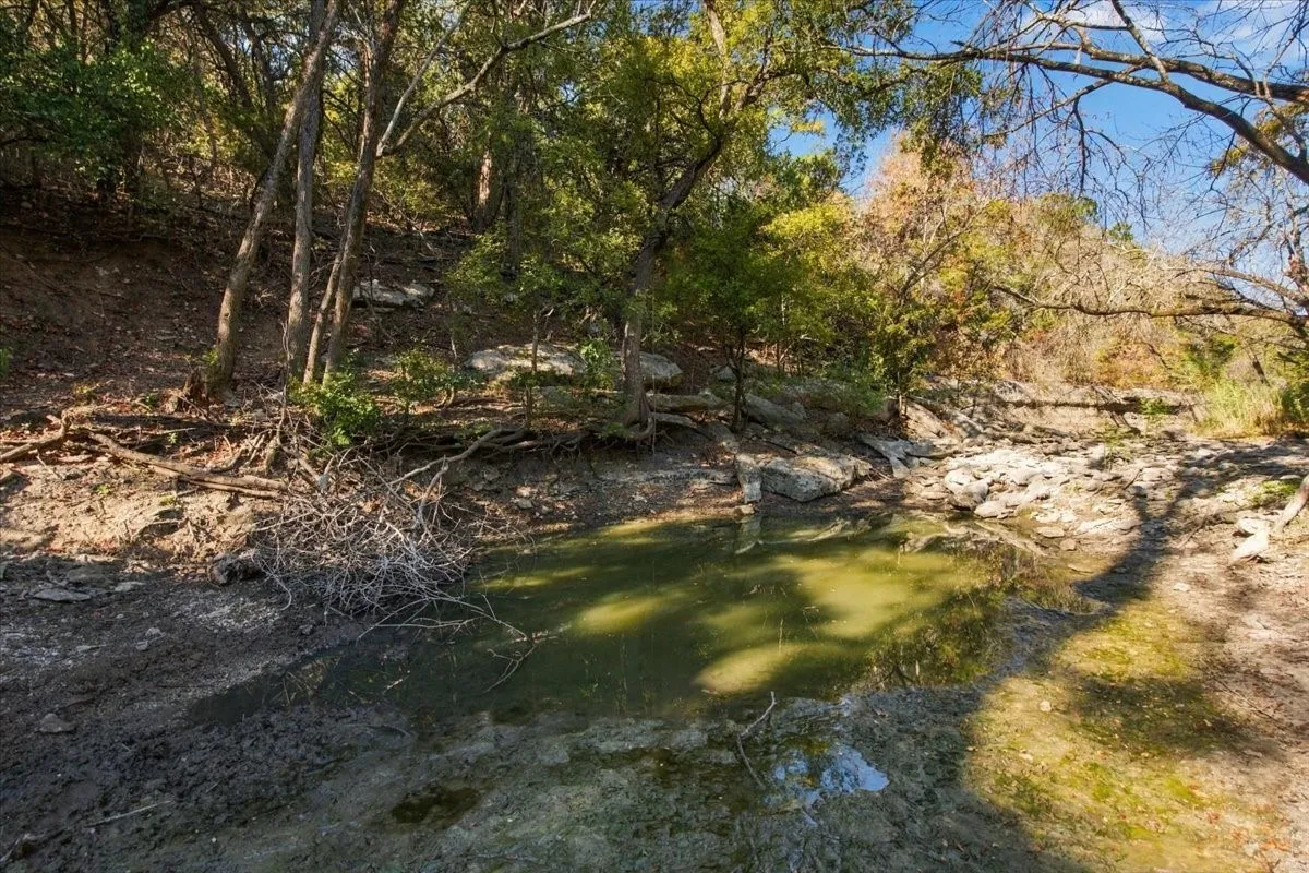 Unimproved Land For Sale in Bosque County , TBD FM 217, Valley Mills, Texas 76689, 0, 0, Garage spaces, 0 Sqft, built in 0, mls#21395473, Real Estate Agent in Valley Mills, Homes For Sale in Bosque county, Homes For Sale in Valley Mills, Realtor in Valley Mills Texas, Real Estate Brokerage Independent Realty Texas, Luminita Cordes Realtor