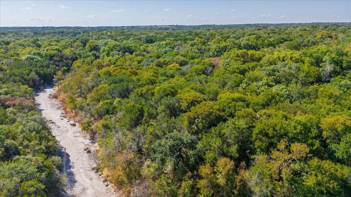 Unimproved Land For Sale in Bosque County , TBD FM 217, Valley Mills, Texas 76689, 0, 0, Garage spaces, 0 Sqft, built in 0, mls#21395473, Real Estate Agent in Valley Mills, Homes For Sale in Bosque county, Homes For Sale in Valley Mills, Realtor in Valley Mills Texas, Real Estate Brokerage Independent Realty Texas, Luminita Cordes Realtor