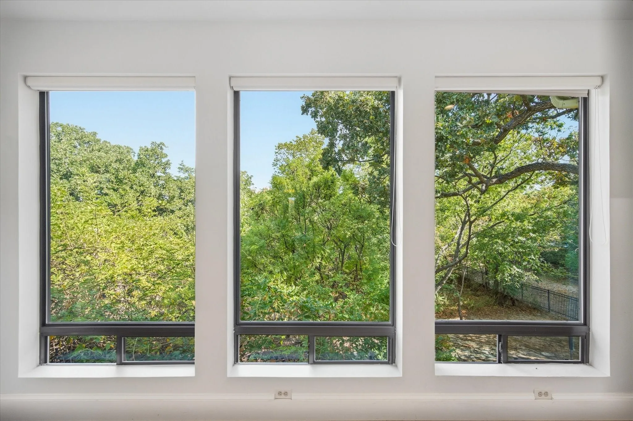 Three large vertical windows with dark frames and integrated roller shades