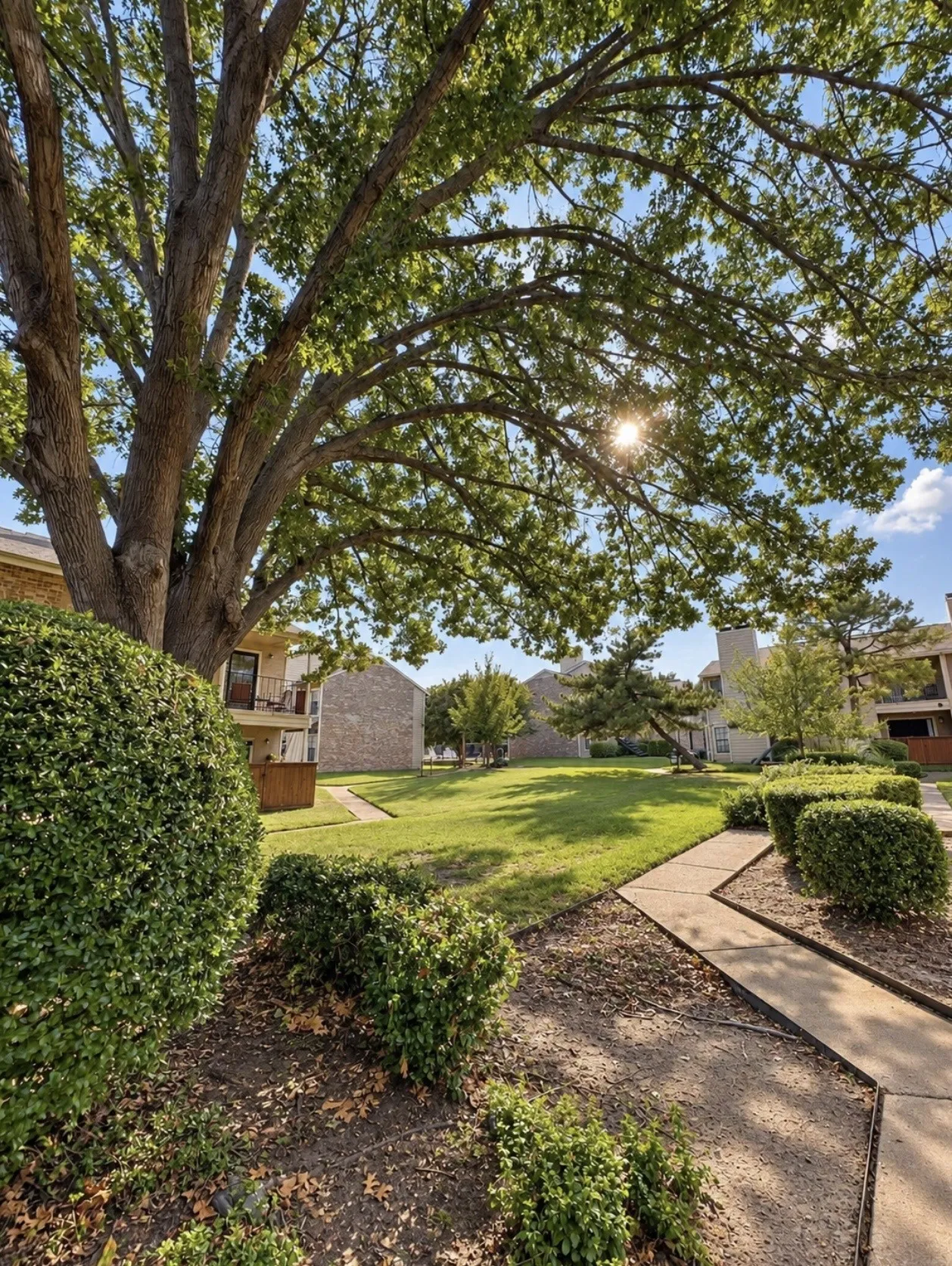 More community green areas with sidewalk.