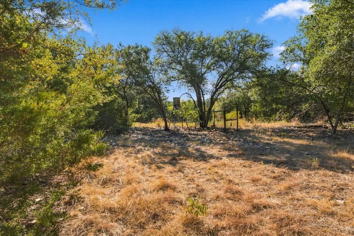 Unimproved Land For Sale in Bosque County , TBD Farm to Market 217, Valley Mills, Texas 76689, 0, 0, Garage spaces, 0 Sqft, built in 0, mls#21395503, Real Estate Agent in Valley Mills, Homes For Sale in Bosque county, Homes For Sale in Valley Mills, Realtor in Valley Mills Texas, Real Estate Brokerage Independent Realty Texas, Luminita Cordes Realtor