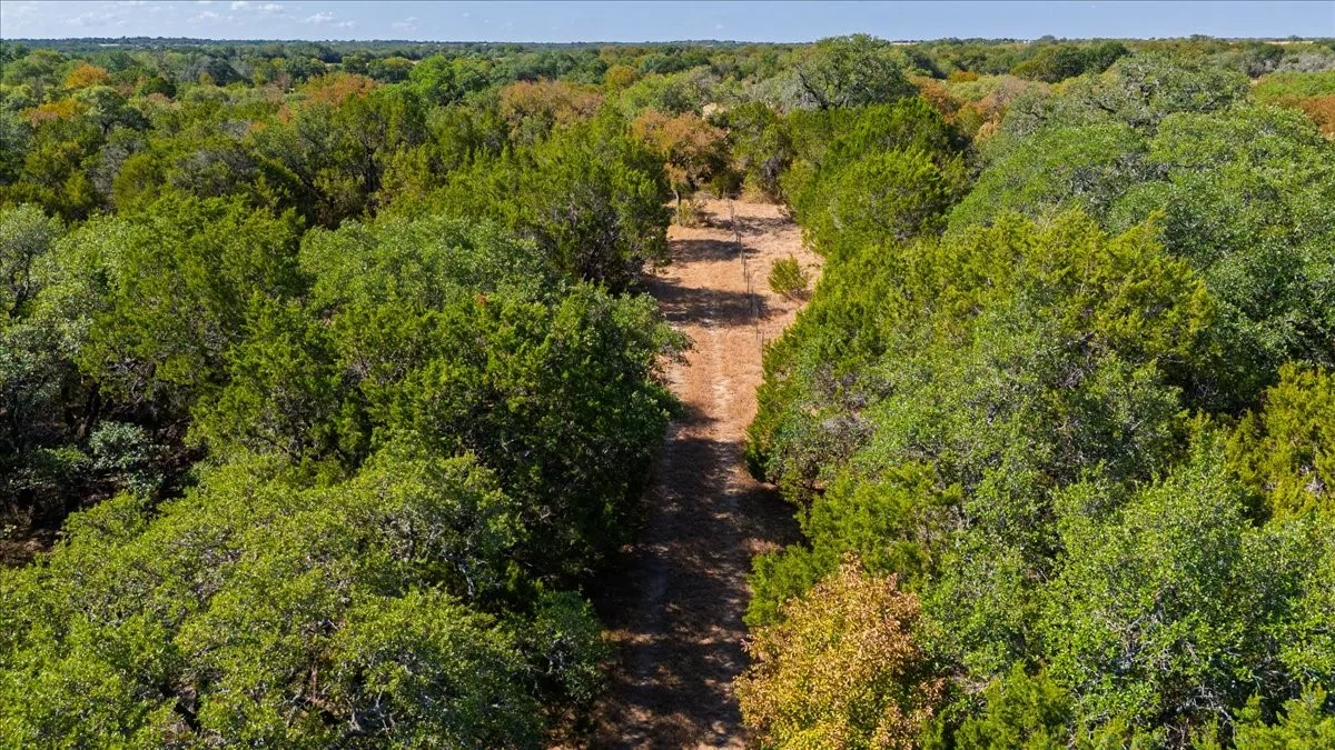 Unimproved Land For Sale in Bosque County , TBD Farm to Market 217, Valley Mills, Texas 76689, 0, 0, Garage spaces, 0 Sqft, built in 0, mls#21395503, Real Estate Agent in Valley Mills, Homes For Sale in Bosque county, Homes For Sale in Valley Mills, Realtor in Valley Mills Texas, Real Estate Brokerage Independent Realty Texas, Luminita Cordes Realtor
