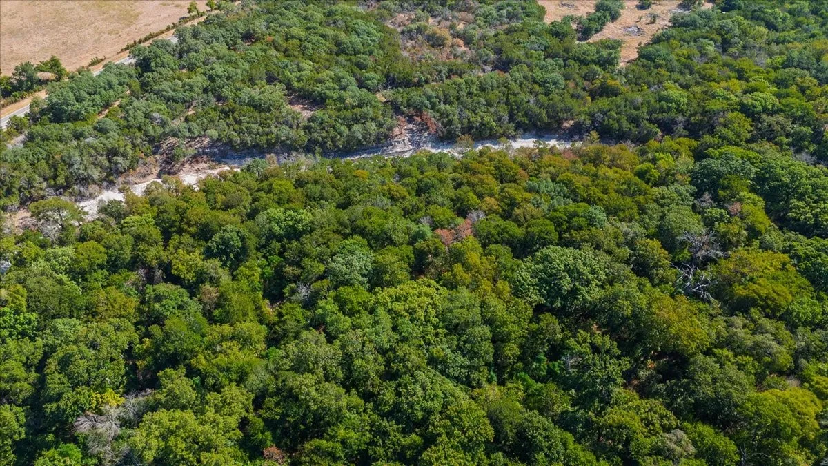 Unimproved Land For Sale in Bosque County , TBD Farm to Market 217, Valley Mills, Texas 76689, 0, 0, Garage spaces, 0 Sqft, built in 0, mls#21395503, Real Estate Agent in Valley Mills, Homes For Sale in Bosque county, Homes For Sale in Valley Mills, Realtor in Valley Mills Texas, Real Estate Brokerage Independent Realty Texas, Luminita Cordes Realtor