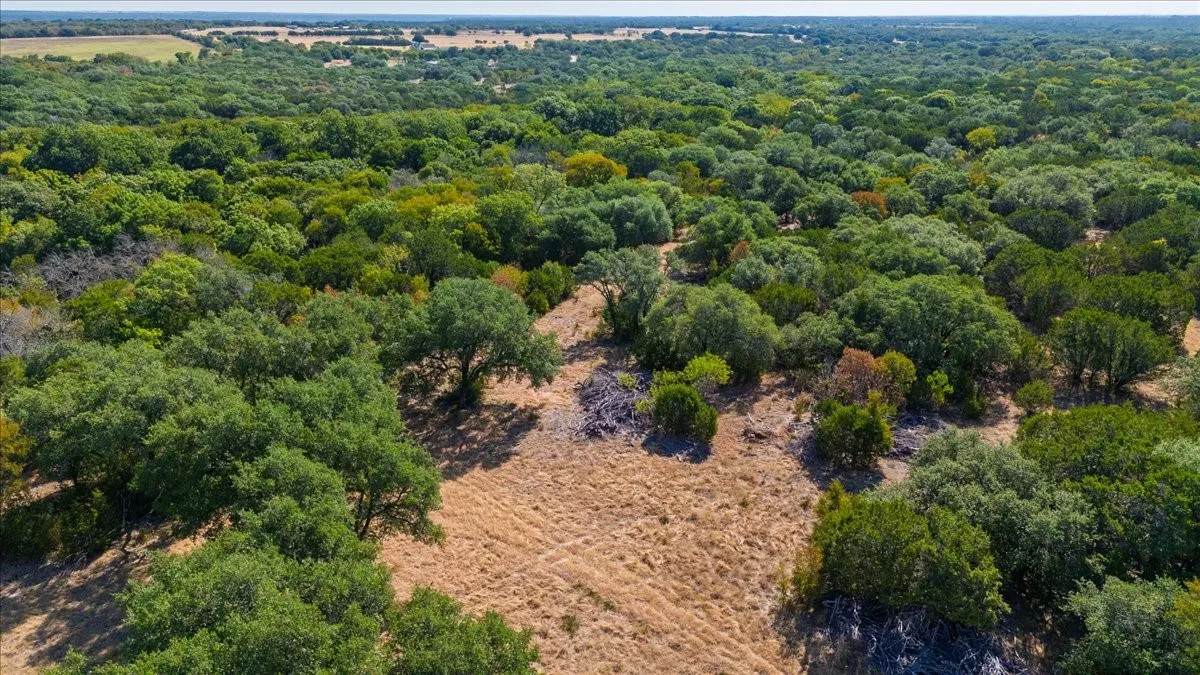 Unimproved Land For Sale in Bosque County , TBD Farm to Market 217, Valley Mills, Texas 76689, 0, 0, Garage spaces, 0 Sqft, built in 0, mls#21395503, Real Estate Agent in Valley Mills, Homes For Sale in Bosque county, Homes For Sale in Valley Mills, Realtor in Valley Mills Texas, Real Estate Brokerage Independent Realty Texas, Luminita Cordes Realtor