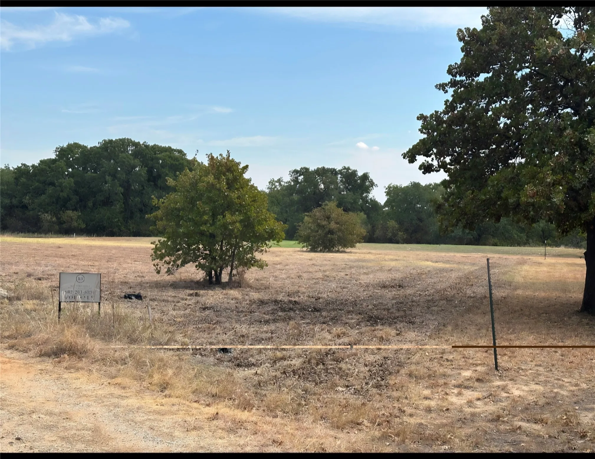 Expansive land offering diverse foliage and a clear sky