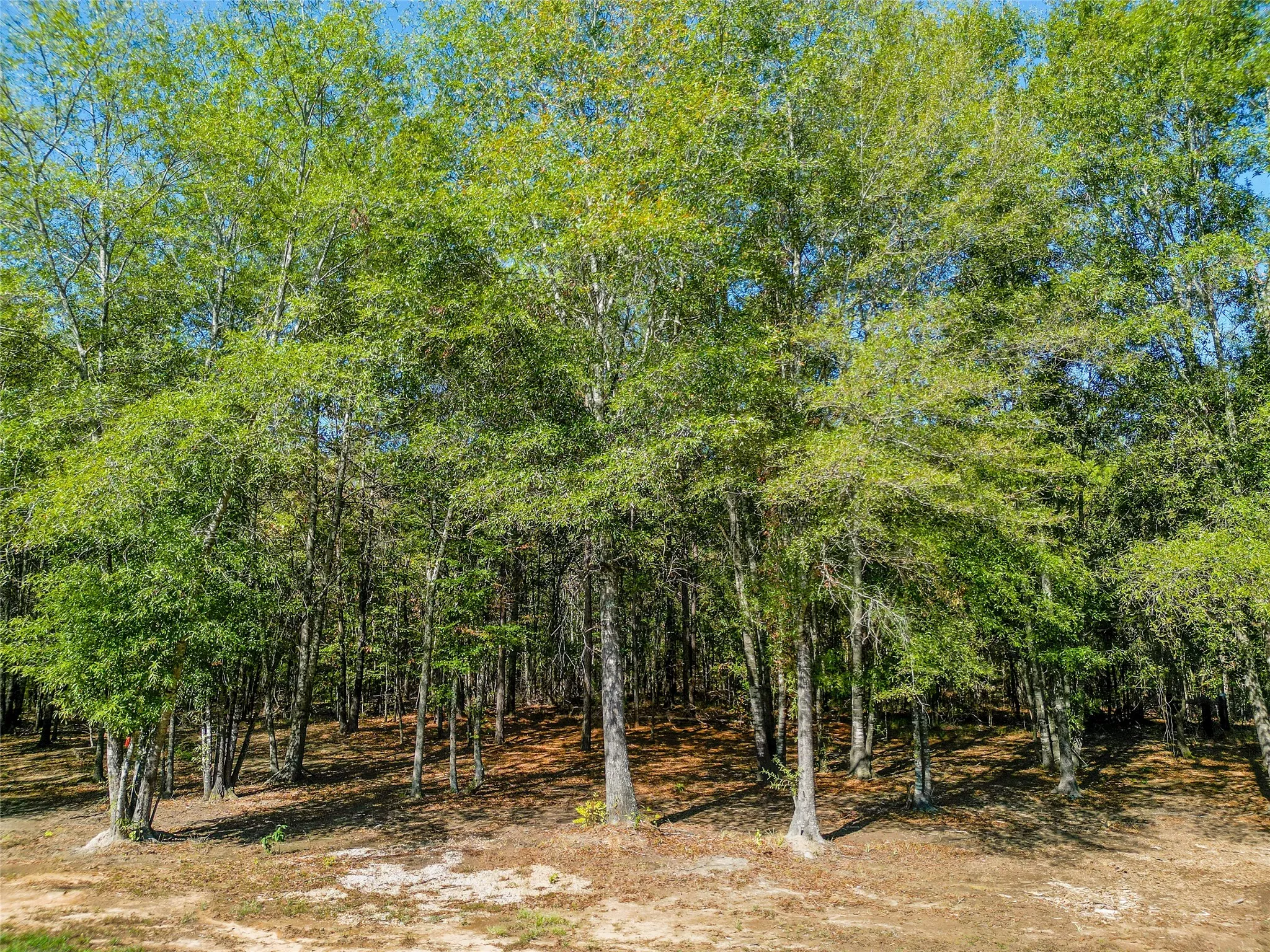 Single Family Residence For Sale in Wood County , 373 County road 3832, Hawkins, Texas 75765, 3 Bedroom, 3 Bathroom, 2 Garage spaces, 3,700 Sqft, built in 2022, mls#21395337, Real Estate Agent in Hawkins, Homes For Sale in Wood county, Homes For Sale in Hawkins, Realtor in Hawkins Texas, Real Estate Brokerage Independent Realty Texas, Luminita Cordes Realtor