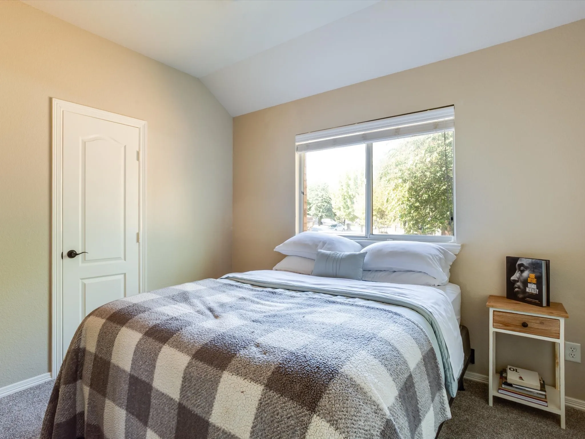 Vaulted ceiling, neutral wall tones, large window, paneled interior door, and carpet flooring