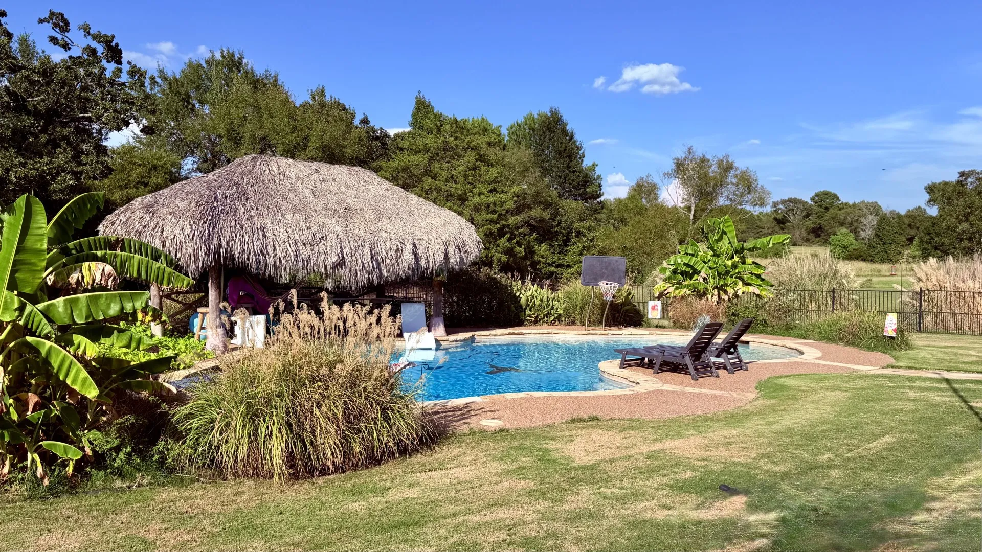 Swimming pool with a stone coping, surrounded by a manicured lawn, and featuring a thatched-roof cabana