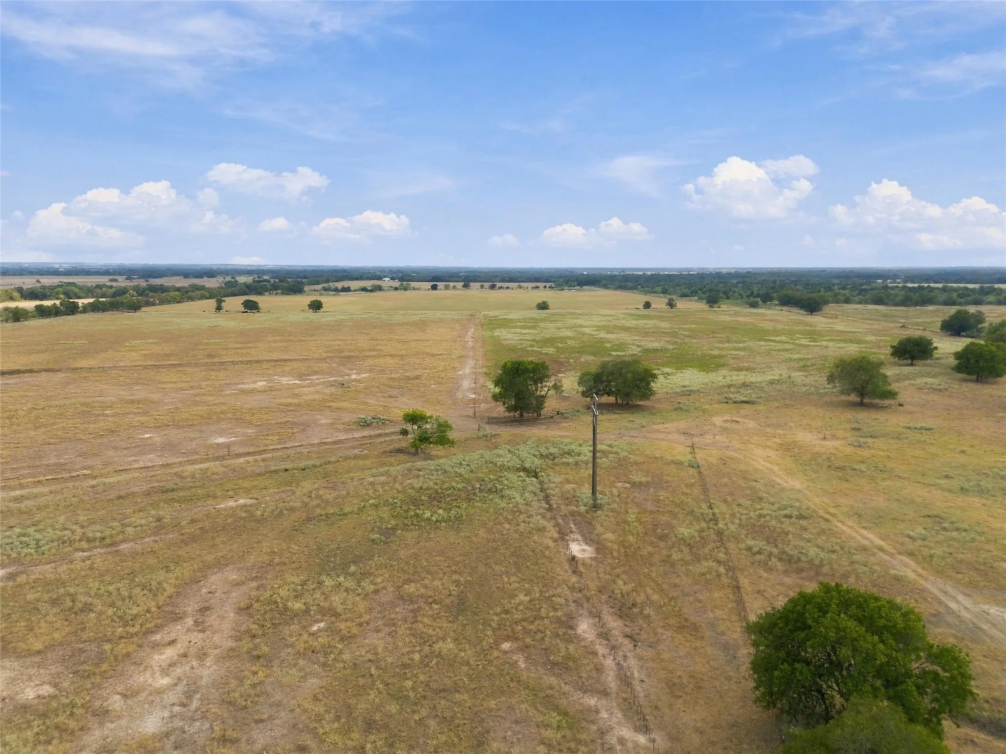 Expansive agricultural land featuring scattered mature trees and open fields