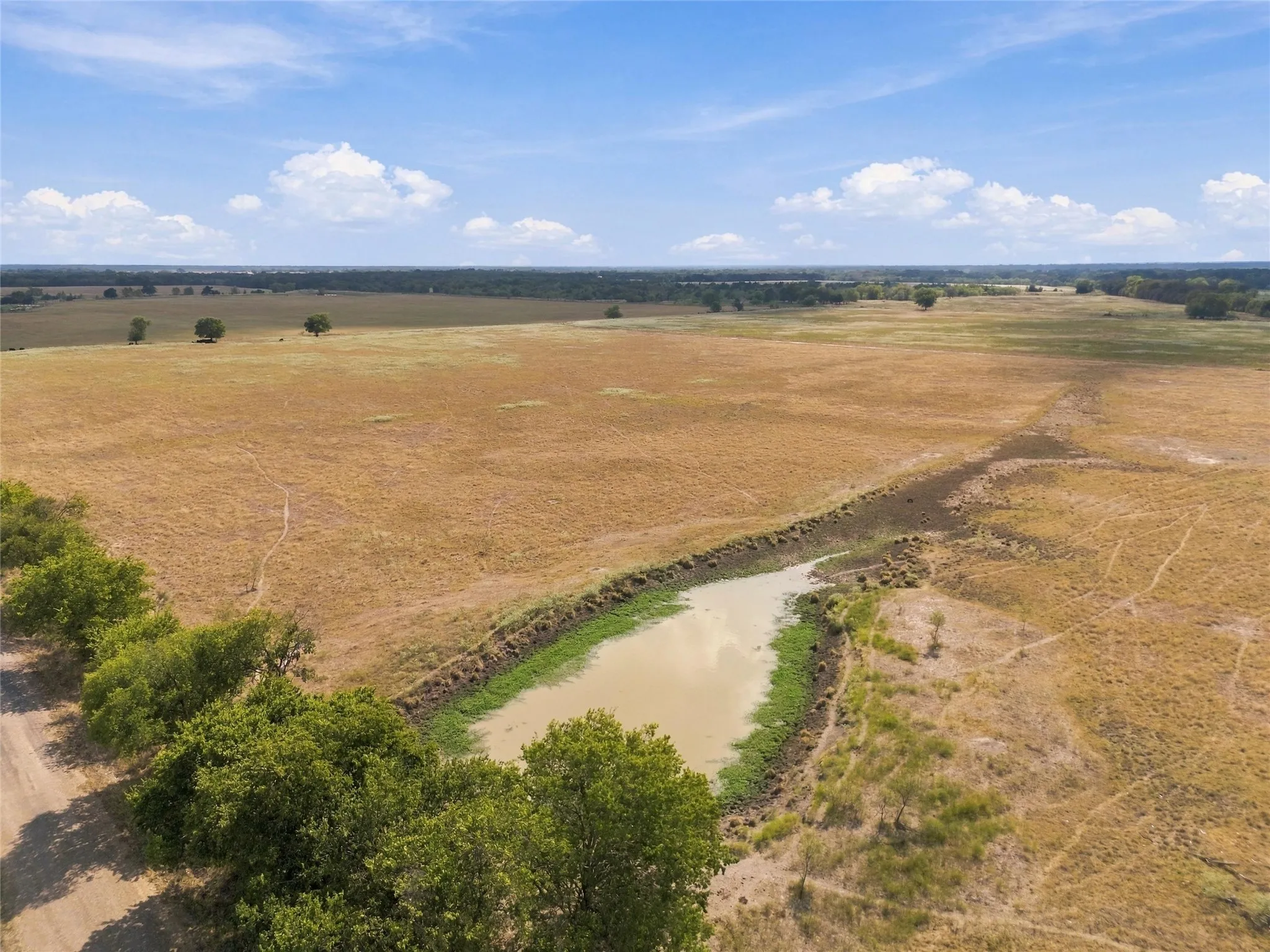Expansive land offering a large pond, mature perimeter trees, and a vast open field