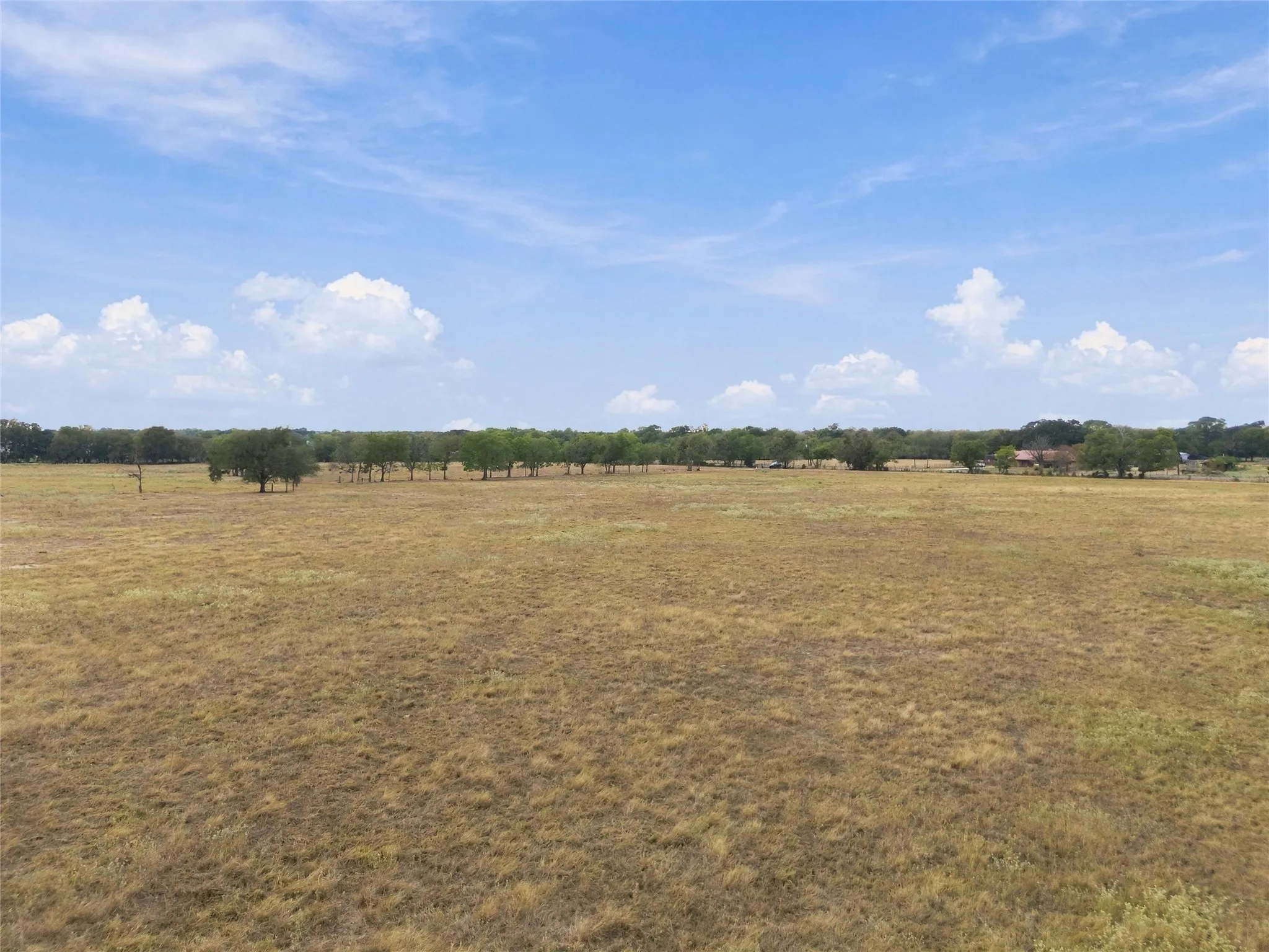 Expansive open field with scattered mature trees and a distant tree line
