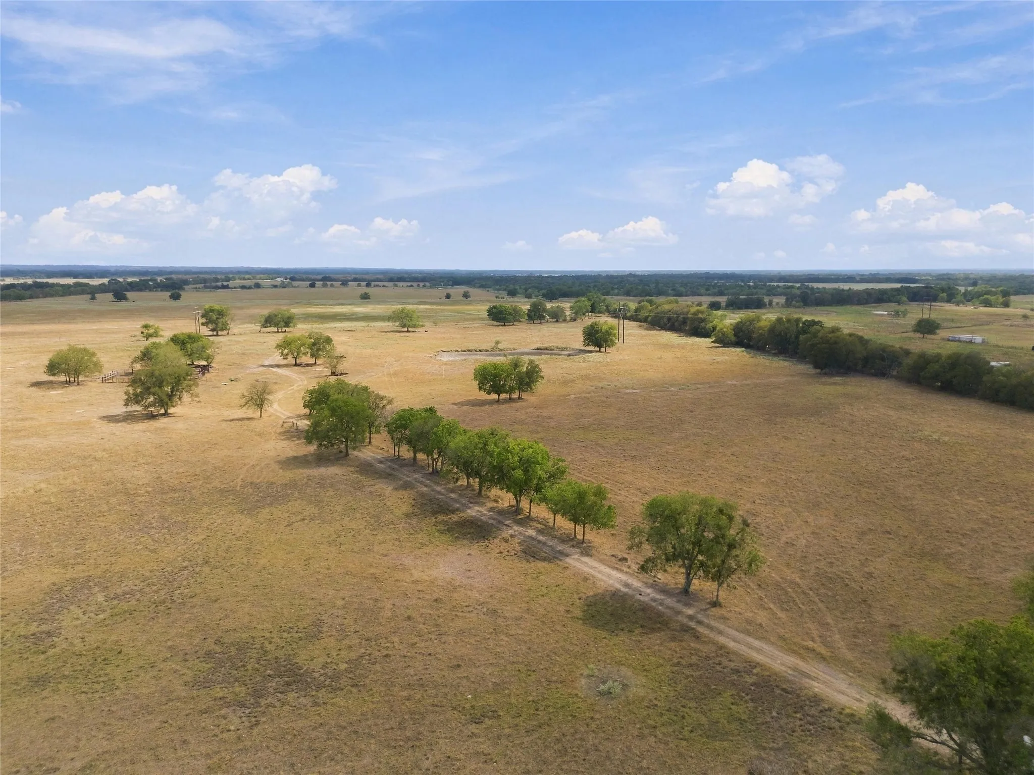 Expansive open fields with mature trees