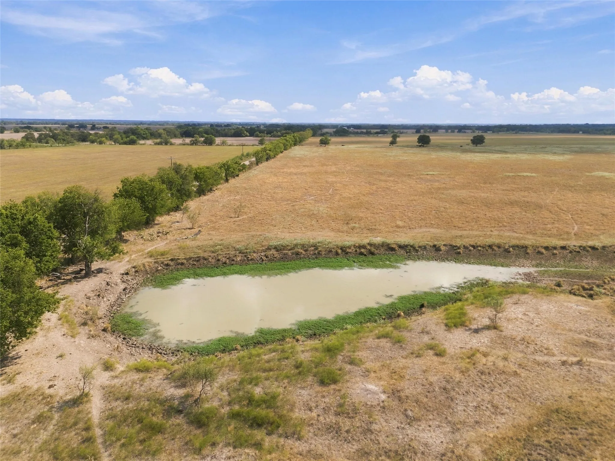 Expansive land featuring a natural pond, mature trees bordering the perimeter, and open fields extending into the distance