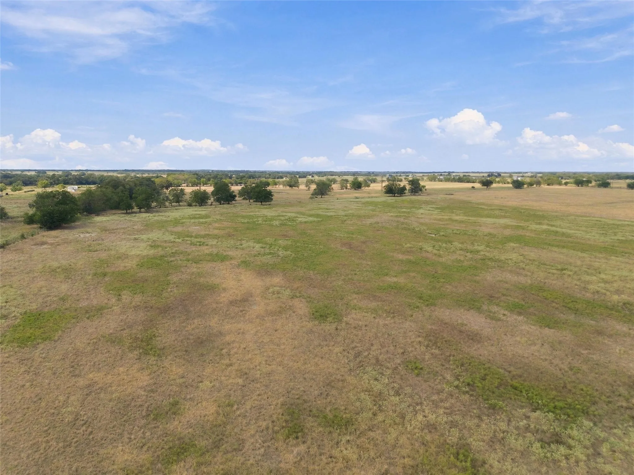 Expansive open land with scattered mature trees and distant tree lines