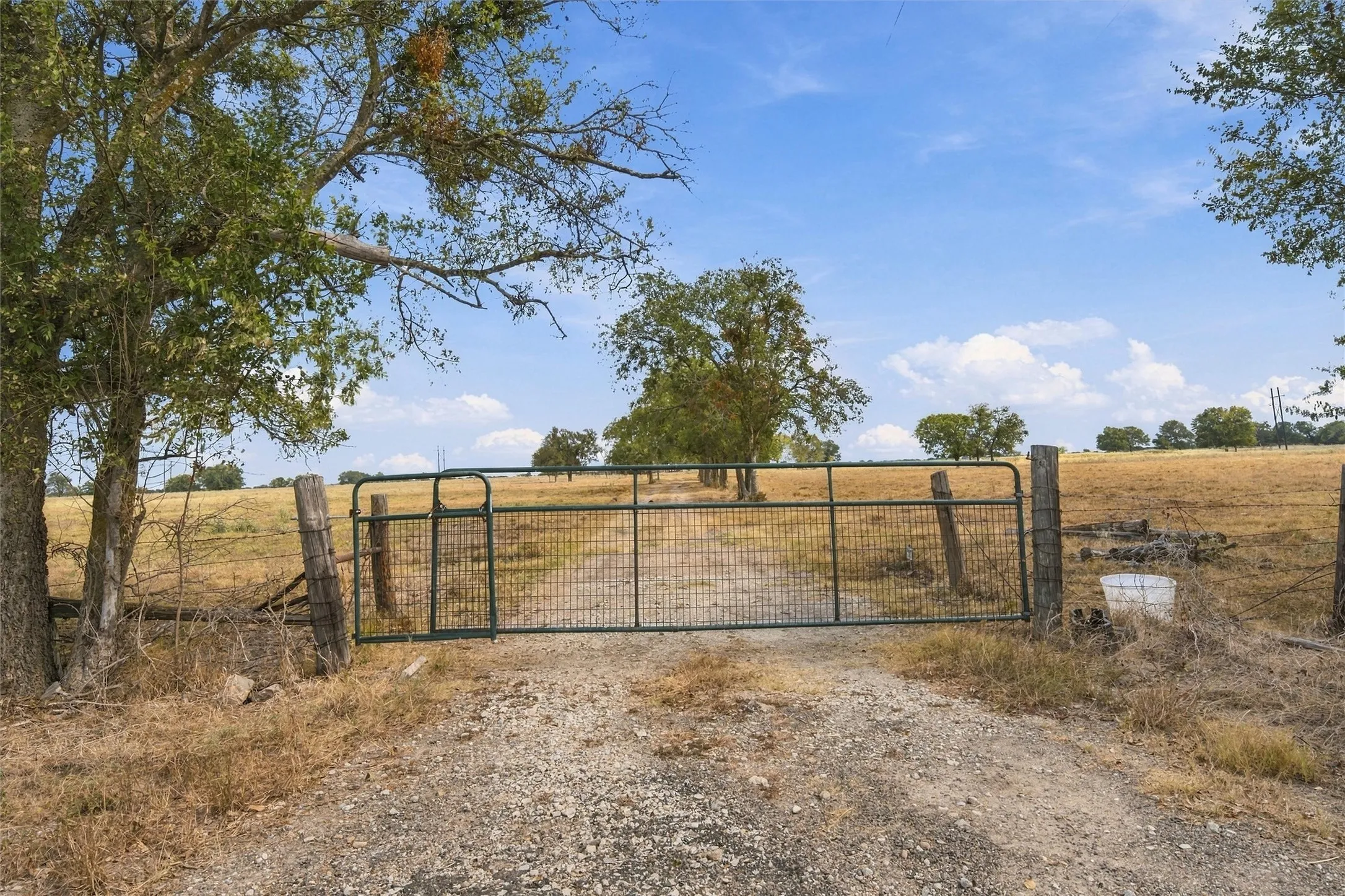 Gravel driveway with a metal gate and fencing, bordered by mature​​‌​​​​‌​​‌‌​‌‌​​​‌‌​‌​‌​‌​​​‌​​ trees