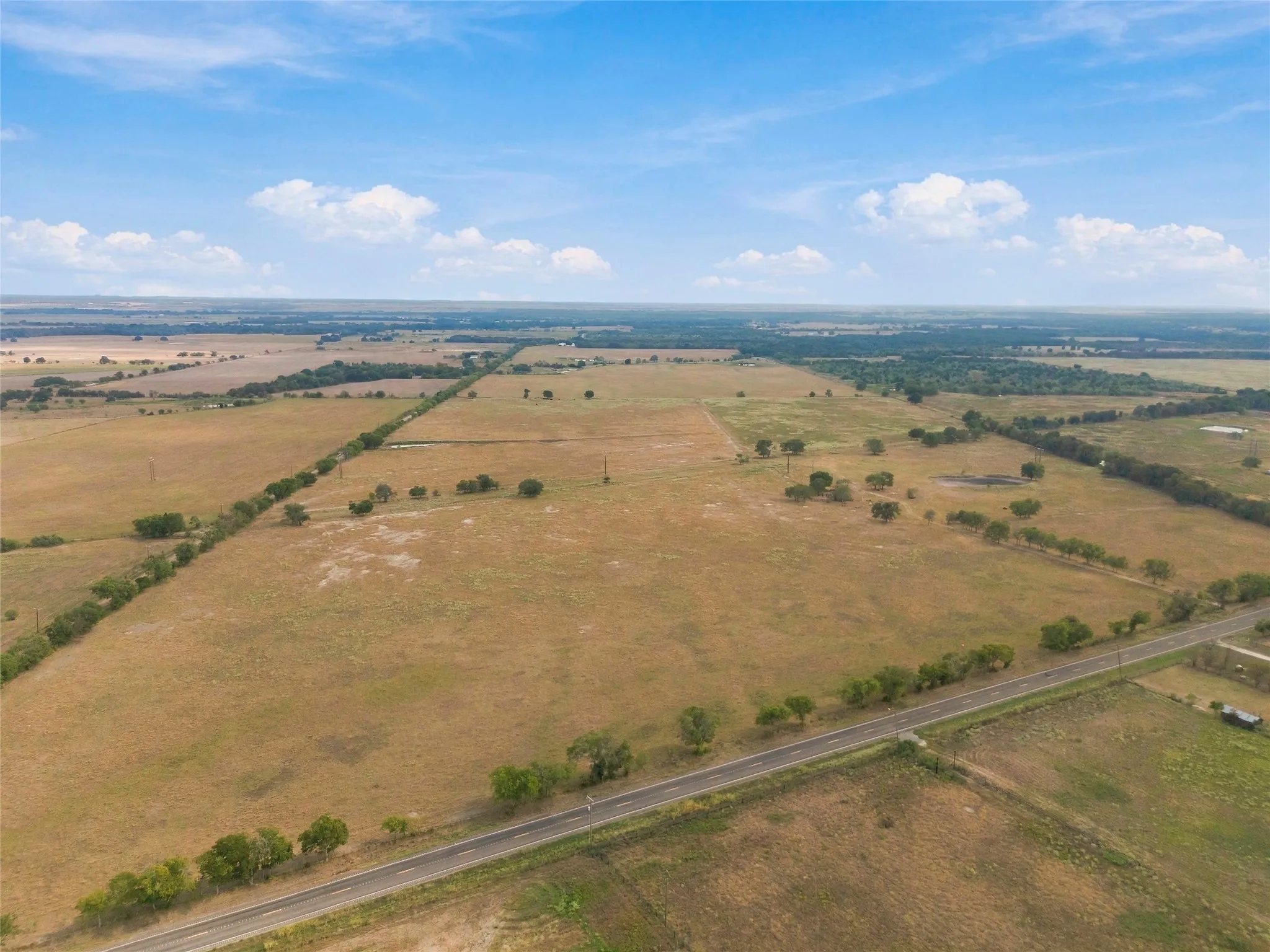 Expansive open land with a clear blue sky, featuring a paved road, scattered mature trees, and distant wooded areas