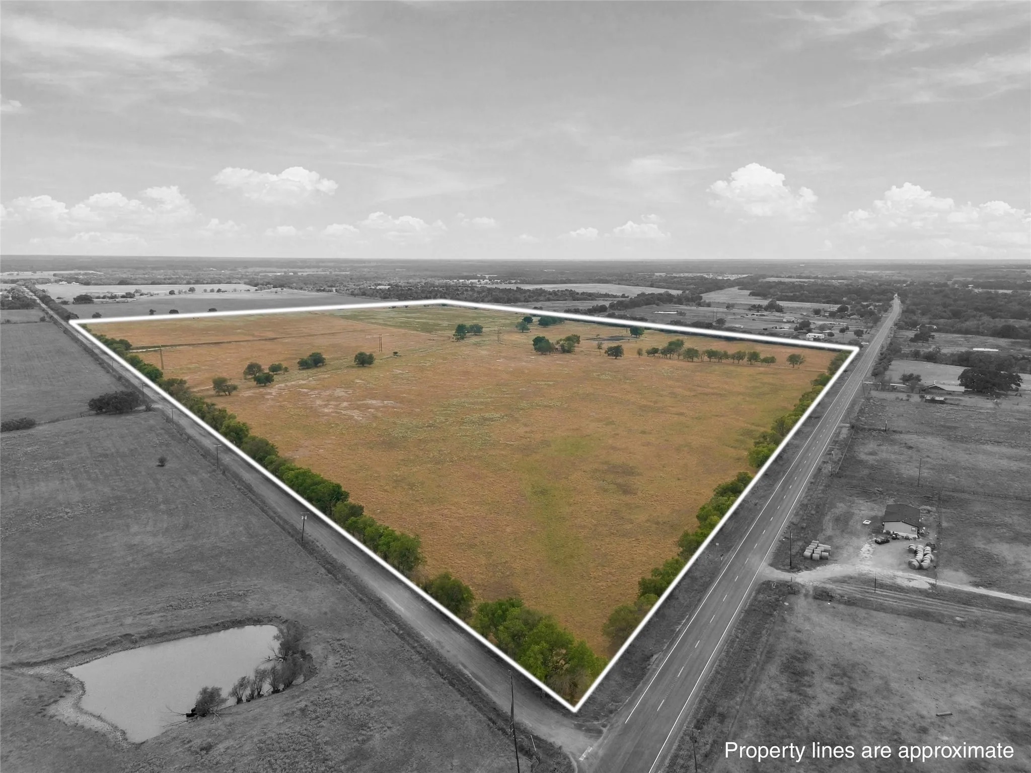 Expansive rural acreage featuring open fields and scattered trees
