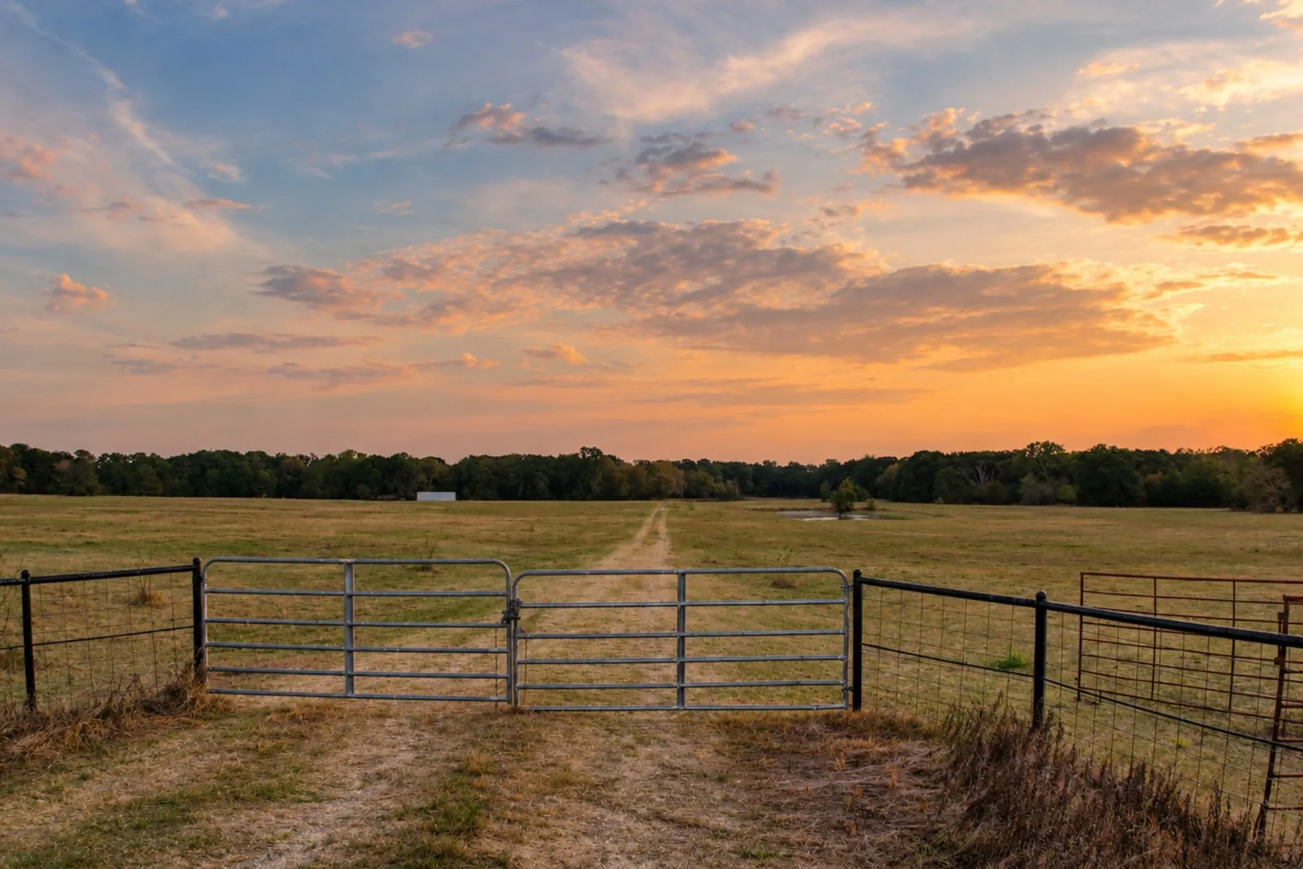 Unimproved Land For Sale in Kaufman County , 0000 FM 148 Road, Scurry, Texas 75158, 0, 0, Garage spaces, 0 Sqft, built in 0, mls#21394665, Real Estate Agent in Scurry, Homes For Sale in Kaufman county, Homes For Sale in Scurry, Realtor in Scurry Texas, Real Estate Brokerage Independent Realty Texas, Luminita Cordes Realtor