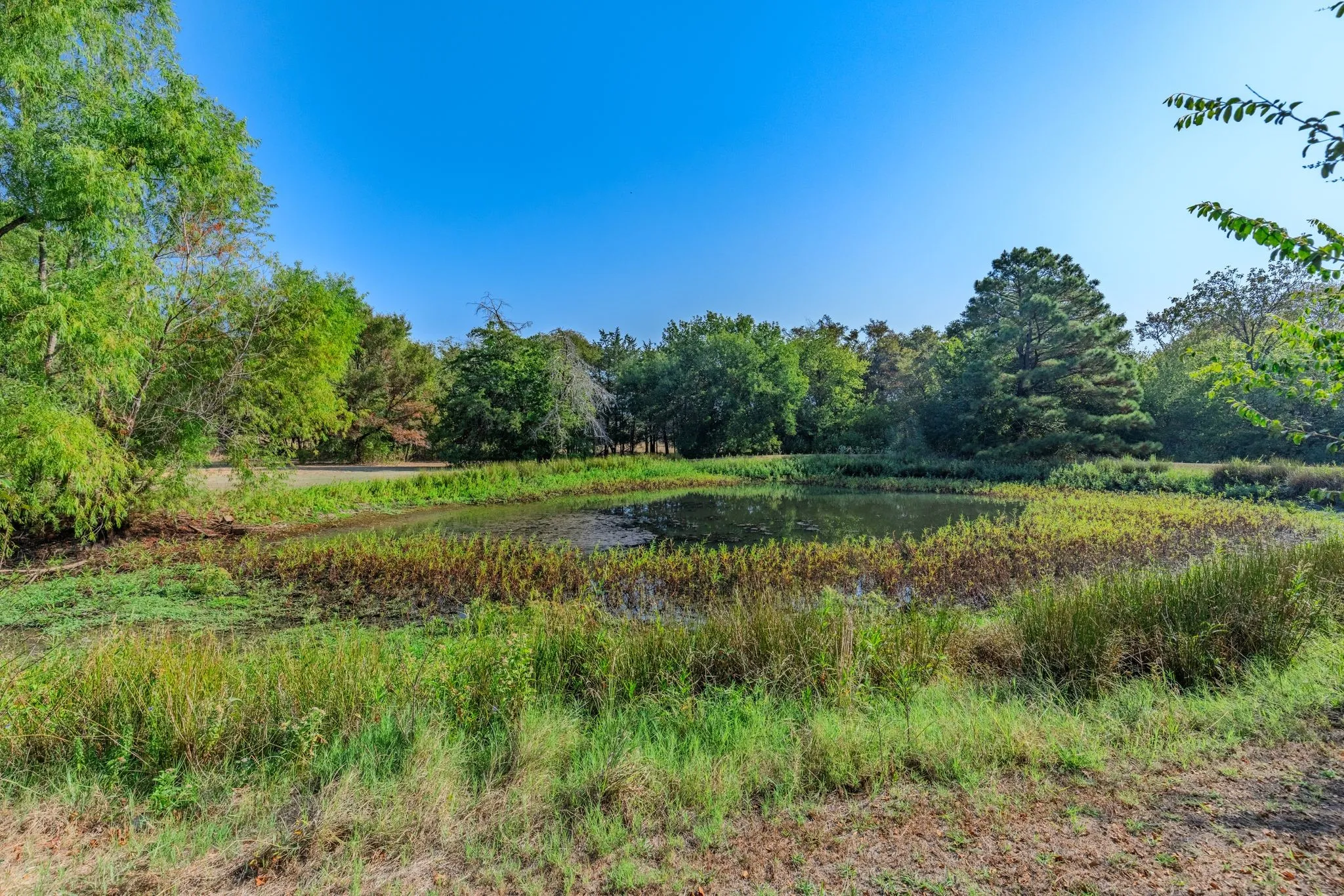Mobile Home For Sale in Hunt County , 7161 County Road 3223, Lone Oak, Texas 75453, 3 Bedroom, 2 Bathroom, Garage spaces, 1,960 Sqft, built in 1996, mls#21395577, Real Estate Agent in Lone Oak, Homes For Sale in Hunt county, Homes For Sale in Lone Oak, Realtor in Lone Oak Texas, Real Estate Brokerage Independent Realty Texas, Luminita Cordes Realtor