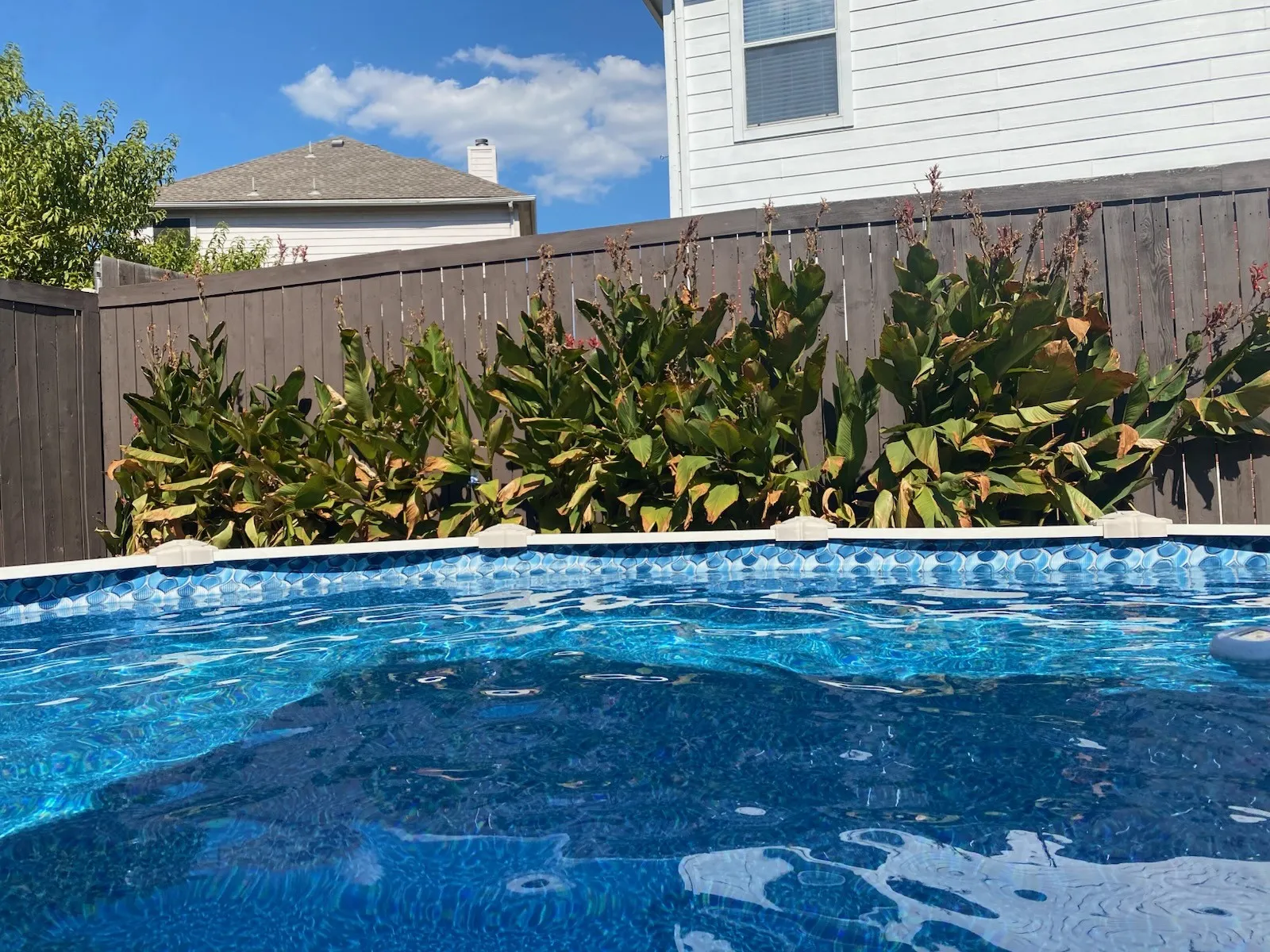 Single Family Residence For Sale in Tarrant County , 6505 Aberdeen Drive, North Richland Hills, Texas 76180, 4 Bedroom, 3 Bathroom, 2 Garage spaces, 2,515 Sqft, built in 2002, mls#21394634, Real Estate Agent in North Richland Hills, Homes For Sale in Tarrant county, Homes For Sale in North Richland Hills, Realtor in North Richland Hills Texas, Real Estate Brokerage Independent Realty Texas, Luminita Cordes Realtor