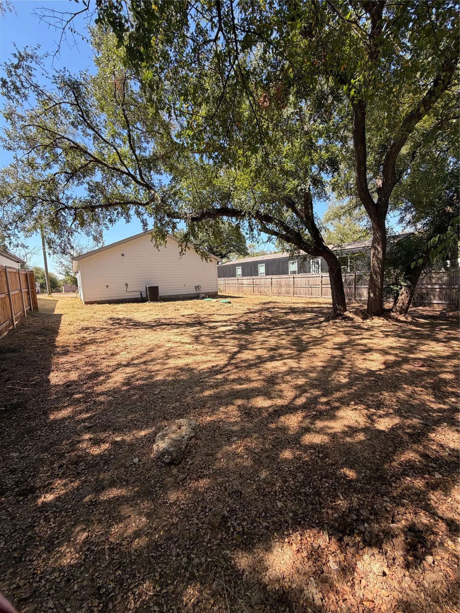 back yard