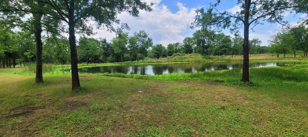 Unimproved Land For Sale in Navarro County , 119892 Southwest 2384, Richland, Texas 76681, 0, 0, Garage spaces, 0 Sqft, built in 0, mls#21395616, Real Estate Agent in Richland, Homes For Sale in Navarro county, Homes For Sale in Richland, Realtor in Richland Texas, Real Estate Brokerage Independent Realty Texas, Luminita Cordes Realtor