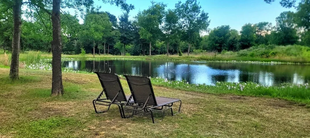 Unimproved Land For Sale in Navarro County , 119892 Southwest 2384, Richland, Texas 76681, 0, 0, Garage spaces, 0 Sqft, built in 0, mls#21395616, Real Estate Agent in Richland, Homes For Sale in Navarro county, Homes For Sale in Richland, Realtor in Richland Texas, Real Estate Brokerage Independent Realty Texas, Luminita Cordes Realtor