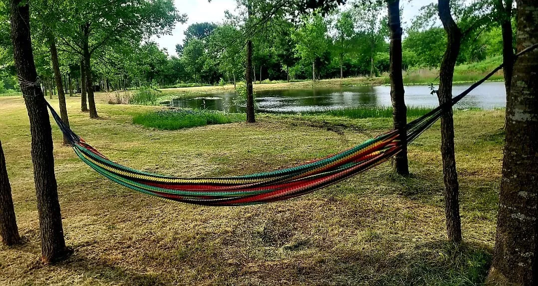 Unimproved Land For Sale in Navarro County , 119892 Southwest 2384, Richland, Texas 76681, 0, 0, Garage spaces, 0 Sqft, built in 0, mls#21395616, Real Estate Agent in Richland, Homes For Sale in Navarro county, Homes For Sale in Richland, Realtor in Richland Texas, Real Estate Brokerage Independent Realty Texas, Luminita Cordes Realtor