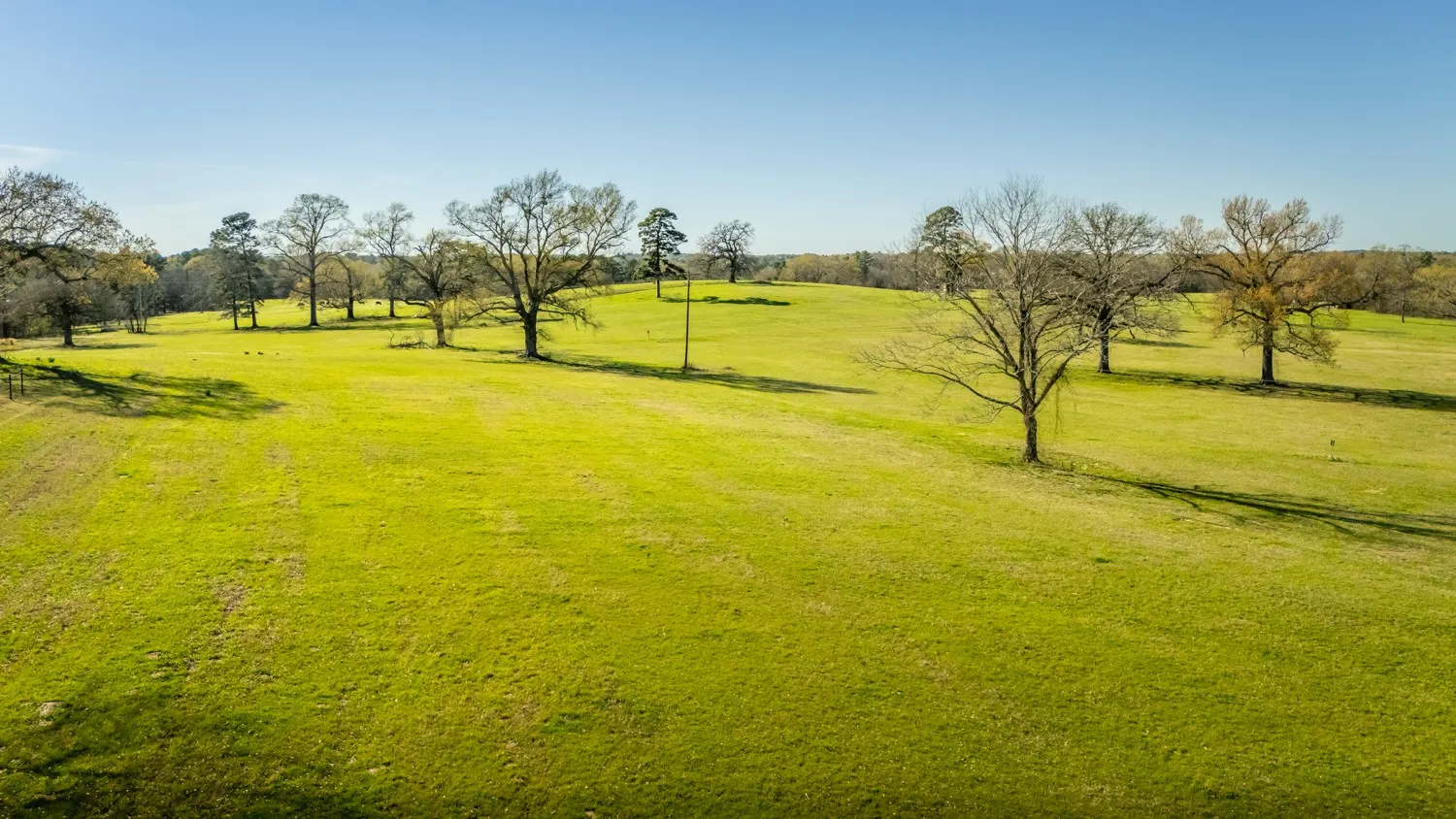 Ranch For Sale