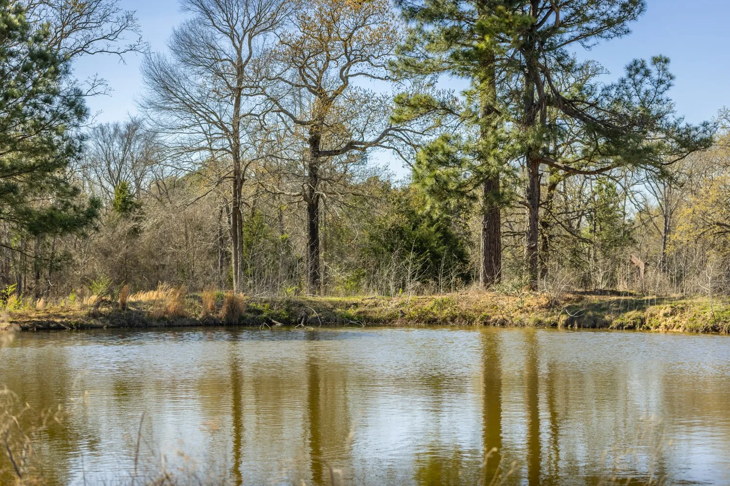Ranch For Sale in Gregg County , 338 Cherokee Lane, Gladewater, Texas 75647, 0, 0, Garage spaces, 0 Sqft, built in 1978, mls#21395629, Real Estate Agent in Gladewater, Homes For Sale in Gregg county, Homes For Sale in Gladewater, Realtor in Gladewater Texas, Real Estate Brokerage Independent Realty Texas, Luminita Cordes Realtor