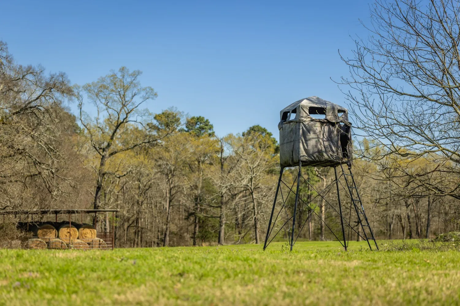 Ranch For Sale in Gregg County , 338 Cherokee Lane, Gladewater, Texas 75647, 0, 0, Garage spaces, 0 Sqft, built in 1978, mls#21395629, Real Estate Agent in Gladewater, Homes For Sale in Gregg county, Homes For Sale in Gladewater, Realtor in Gladewater Texas, Real Estate Brokerage Independent Realty Texas, Luminita Cordes Realtor