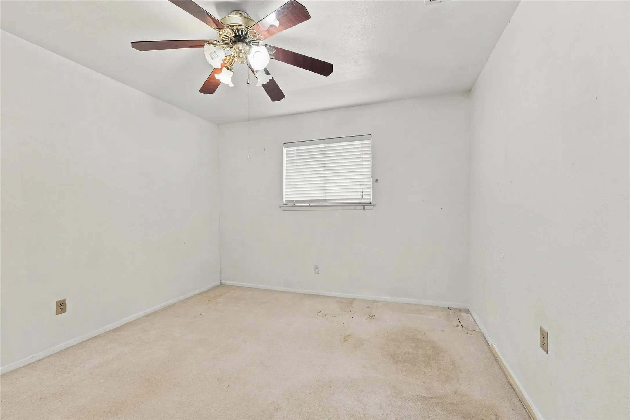 Ceiling fan with integrated lighting, window with horizontal blinds, and carpeting